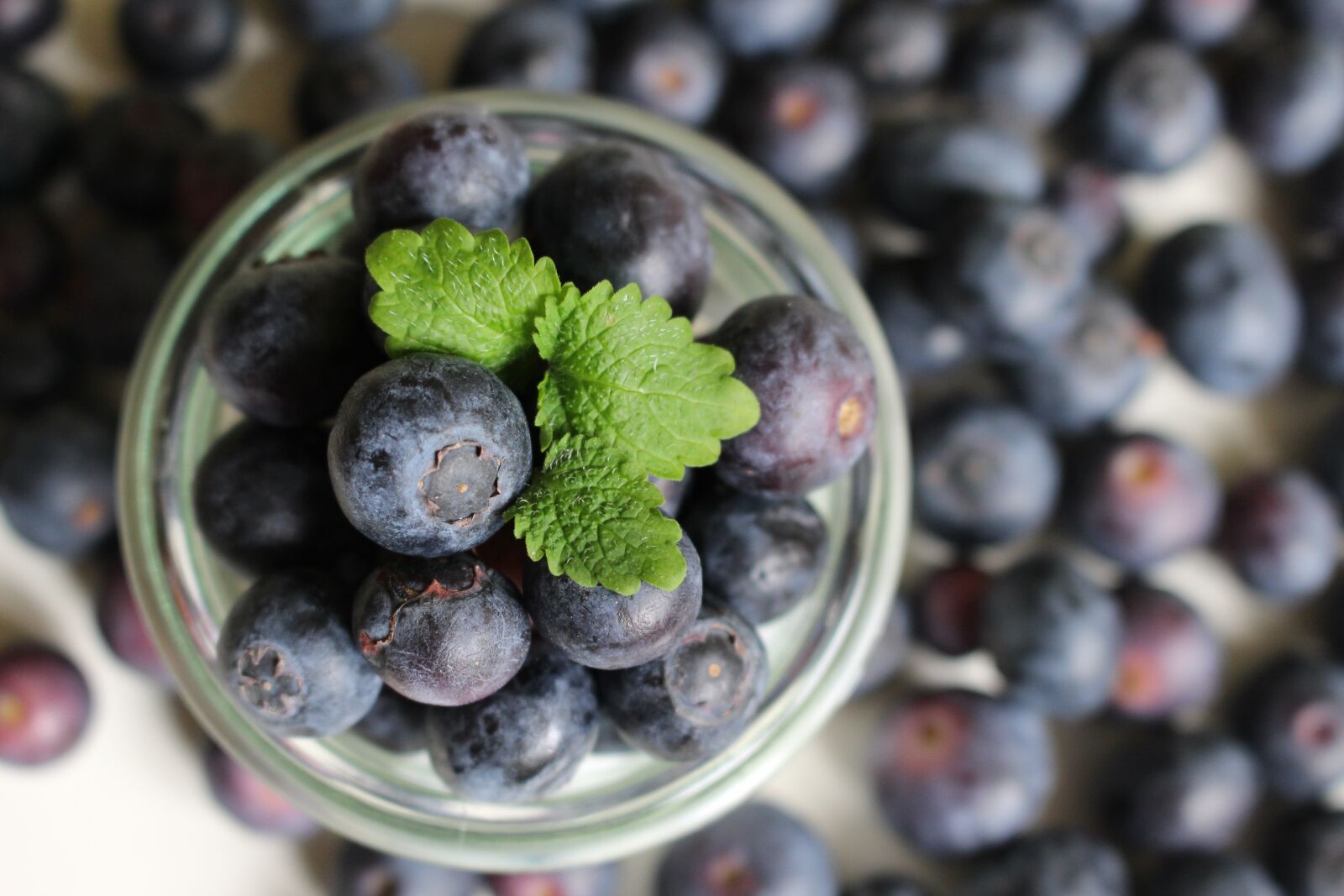 Canon EOS 700D (EOS Rebel T5i / EOS Kiss X7i) sample photo. Blueberries, berries, fruit photography