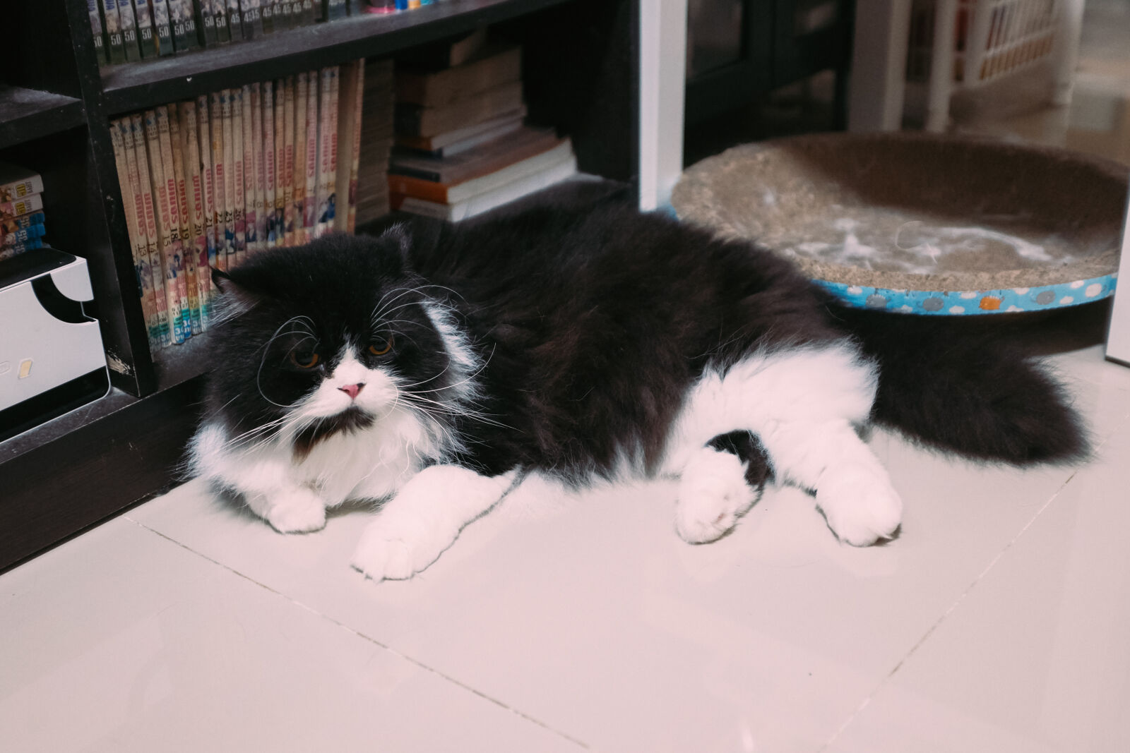 Fujifilm X100T sample photo