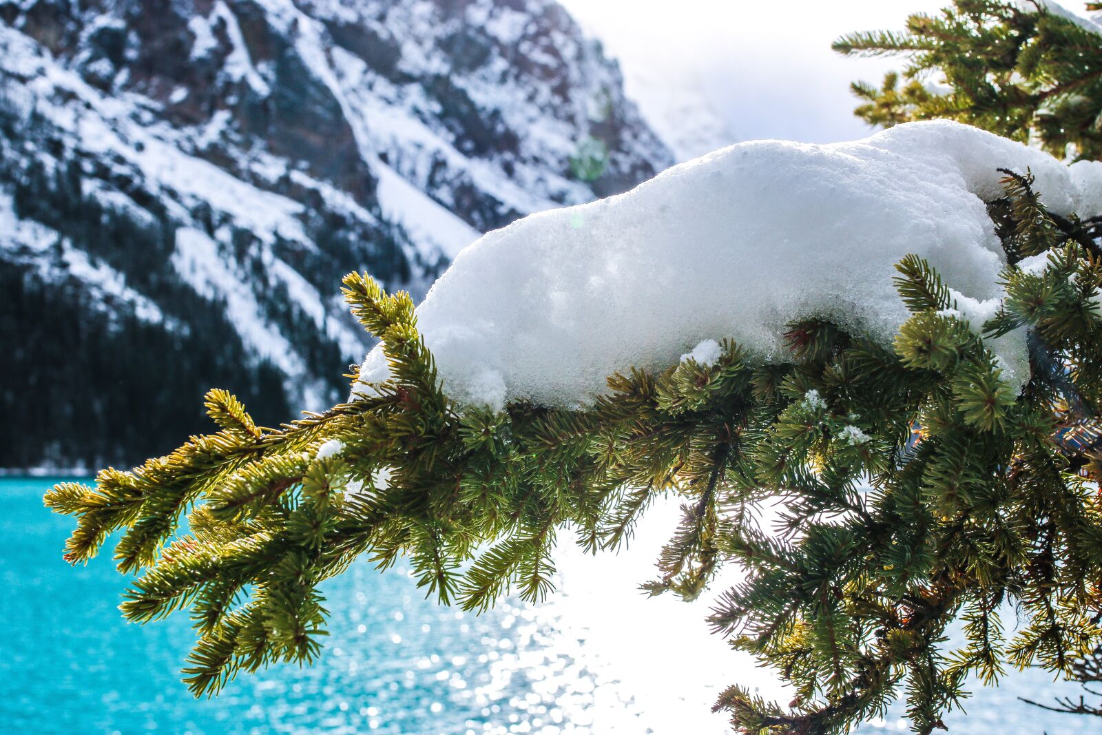 Canon EOS 750D (EOS Rebel T6i / EOS Kiss X8i) sample photo. Lake, louise, canada photography