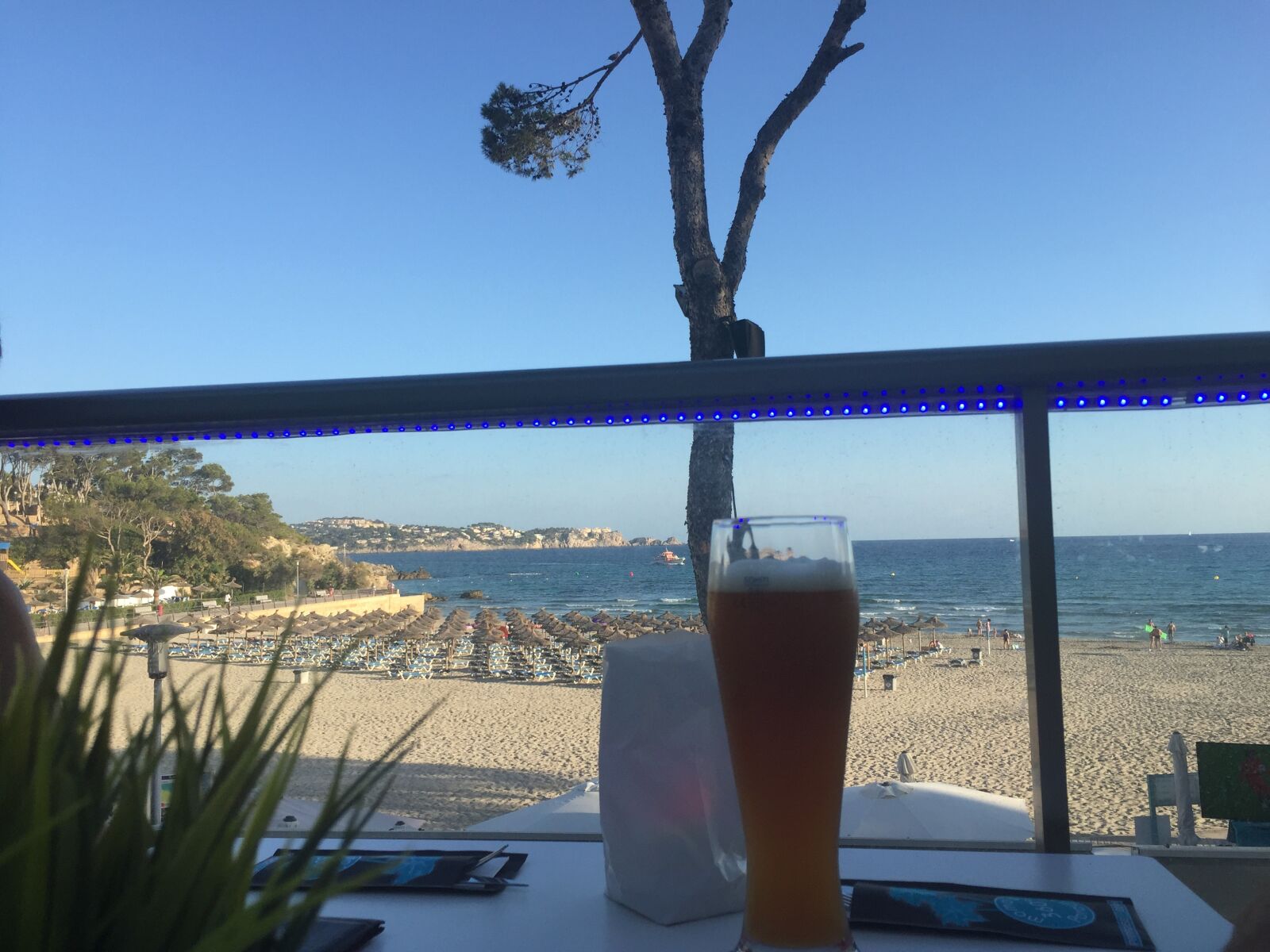 Apple iPhone 6 sample photo. Beach, beer, vacations photography