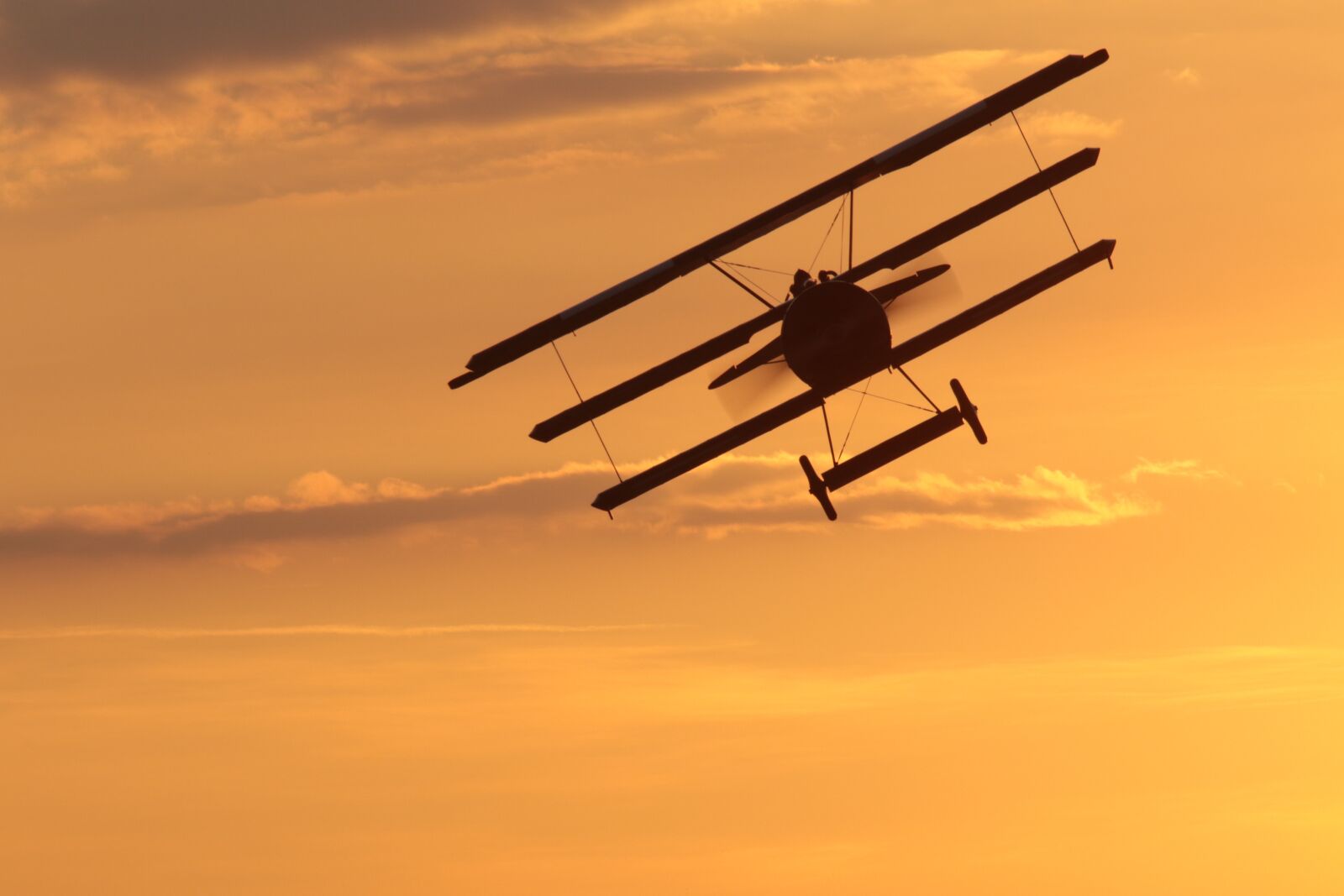 Canon EOS 7D Mark II sample photo. Aircraft, oldtimer, triplane photography
