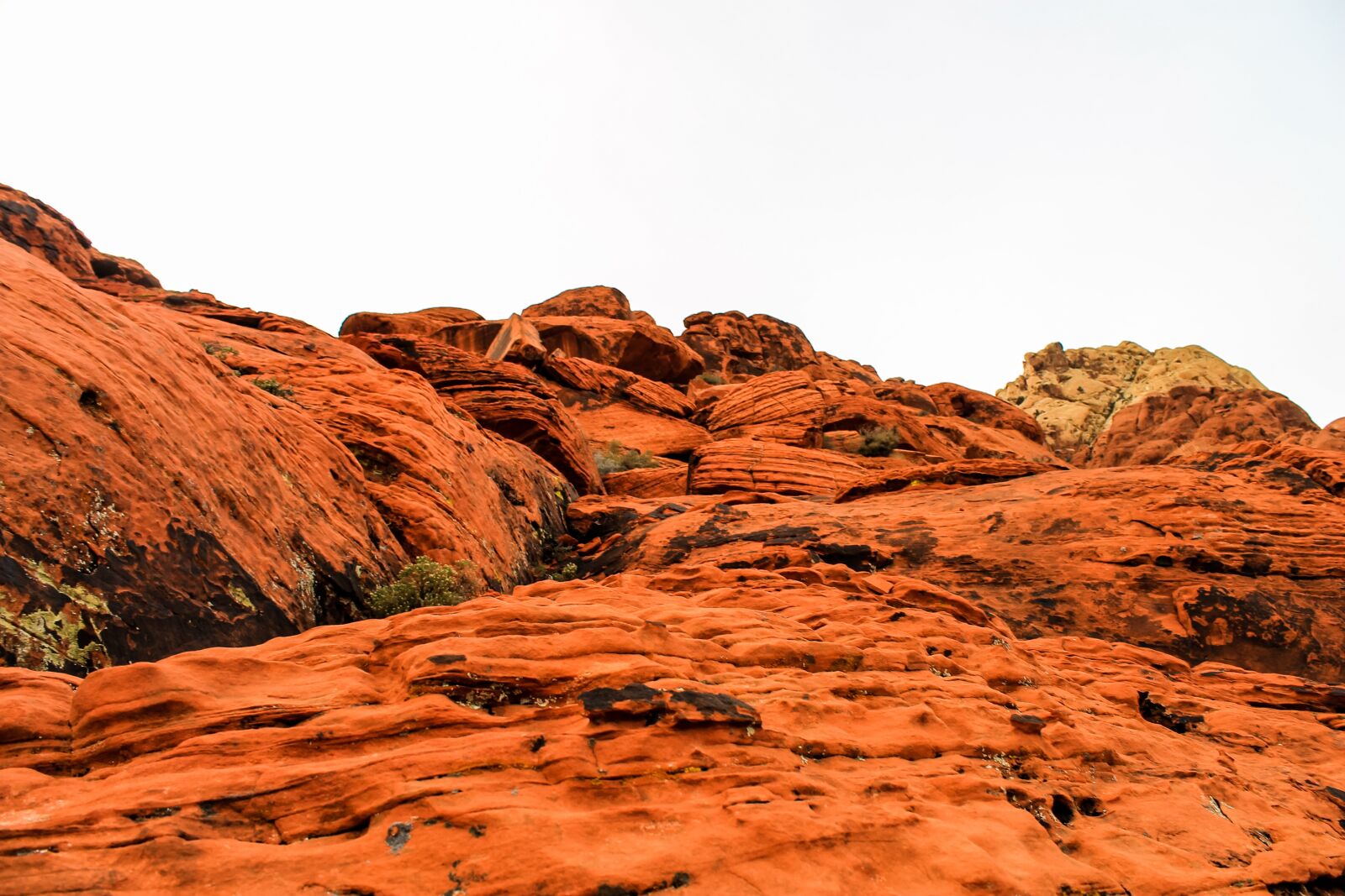Canon EOS 1100D (EOS Rebel T3 / EOS Kiss X50) sample photo. Utah, red rocks, red photography