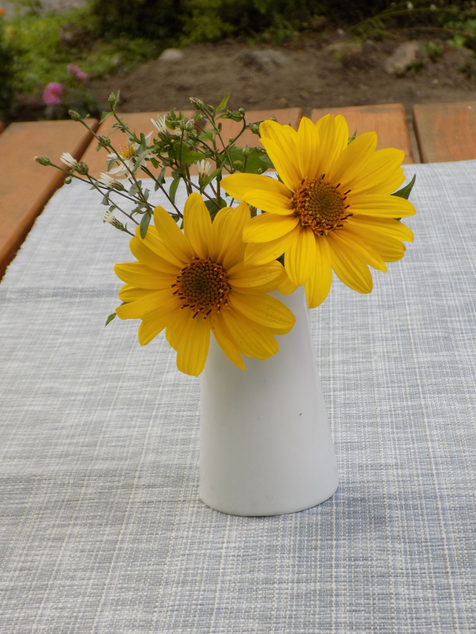 Nikon COOLPIX L340 sample photo. Summer flowers, yellow, vase photography