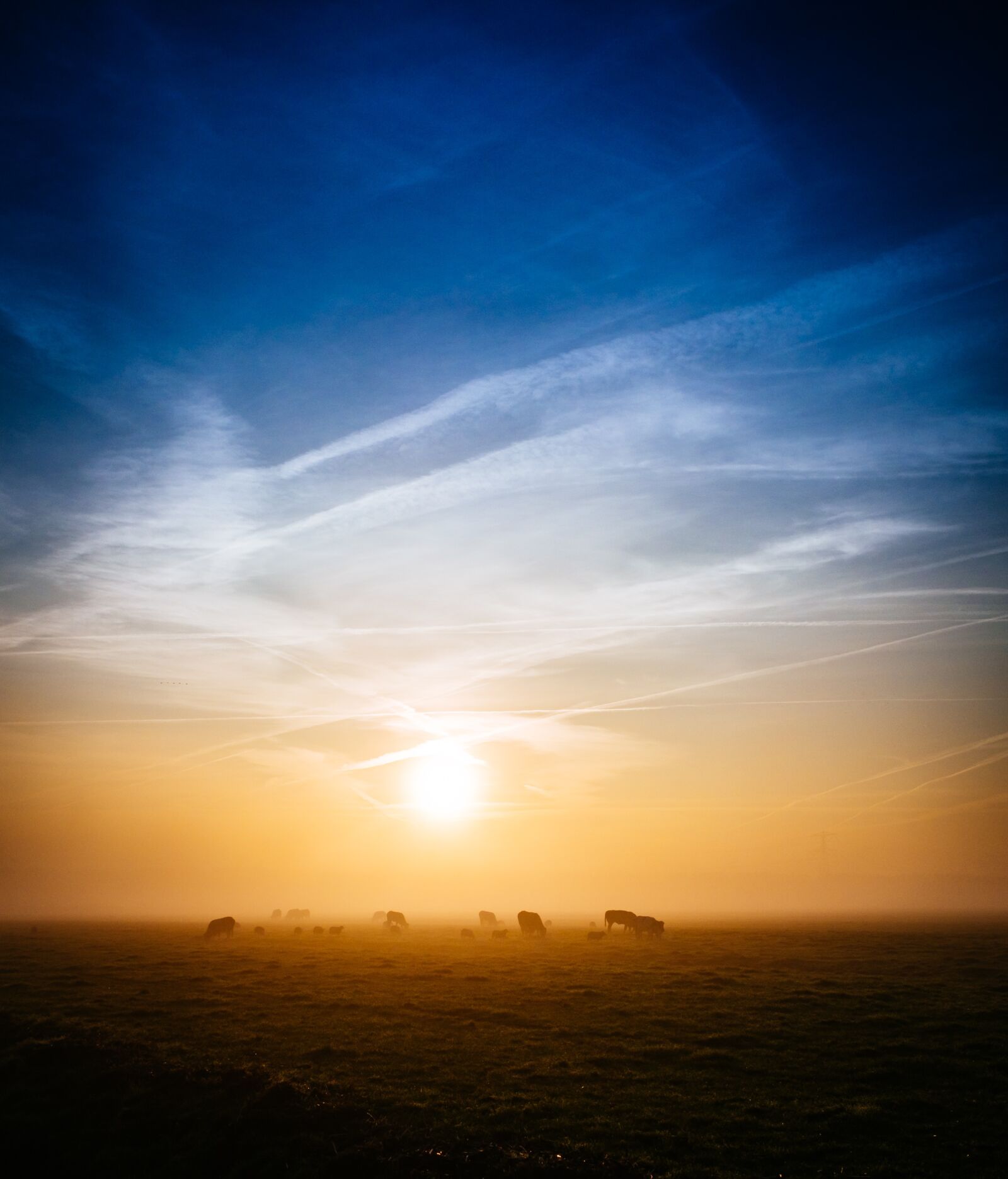 Fujifilm X100T sample photo. Sunrise, morning, dawn photography