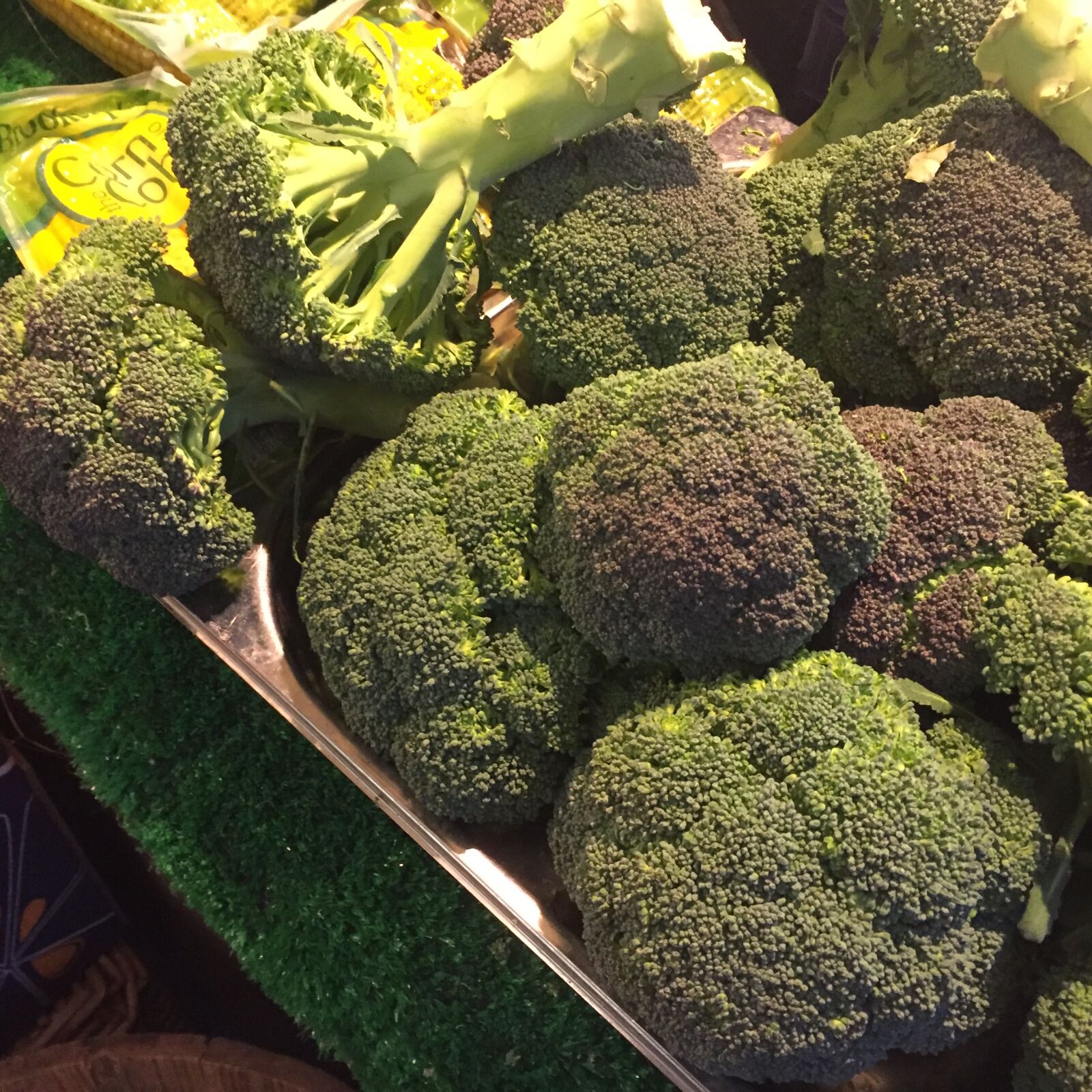iPhone 6 back camera 4.15mm f/2.2 sample photo. Broccolli, fresh, vegetables photography