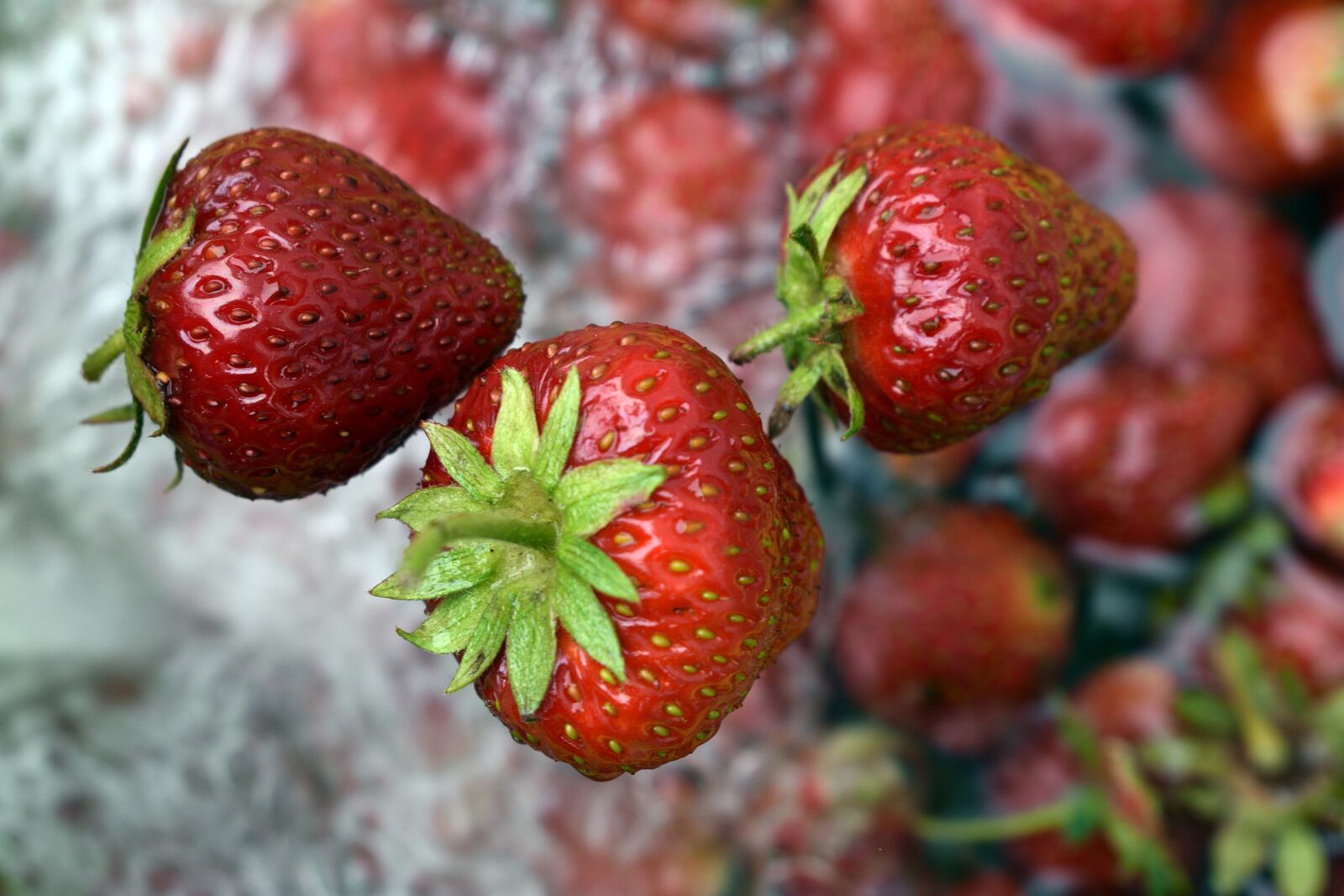 Nikon D3400 sample photo. Strawberries, strawberry, fruit photography