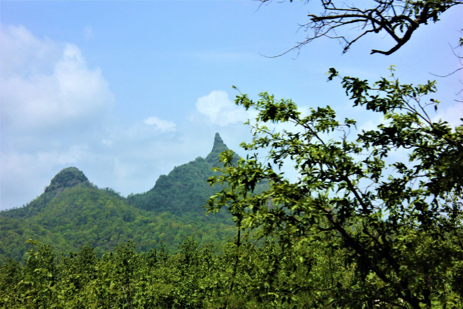 Canon EOS 600D (Rebel EOS T3i / EOS Kiss X5) sample photo. Aerial, view, mothernature, natural photography