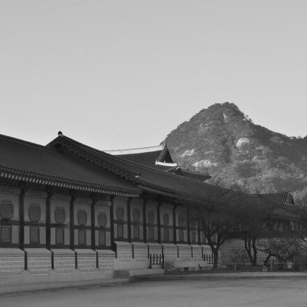 Nikon AF Micro-Nikkor 60mm F2.8D sample photos - ExploreCams