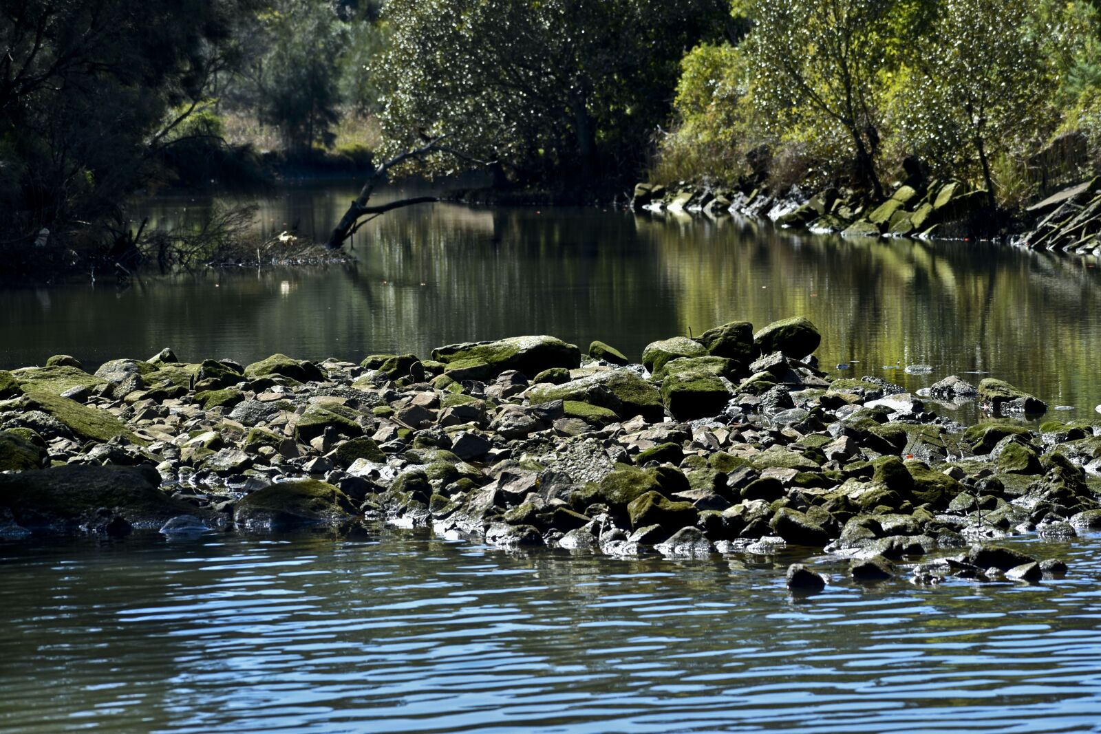 Nikon D3500 sample photo. Creek, river, stream photography