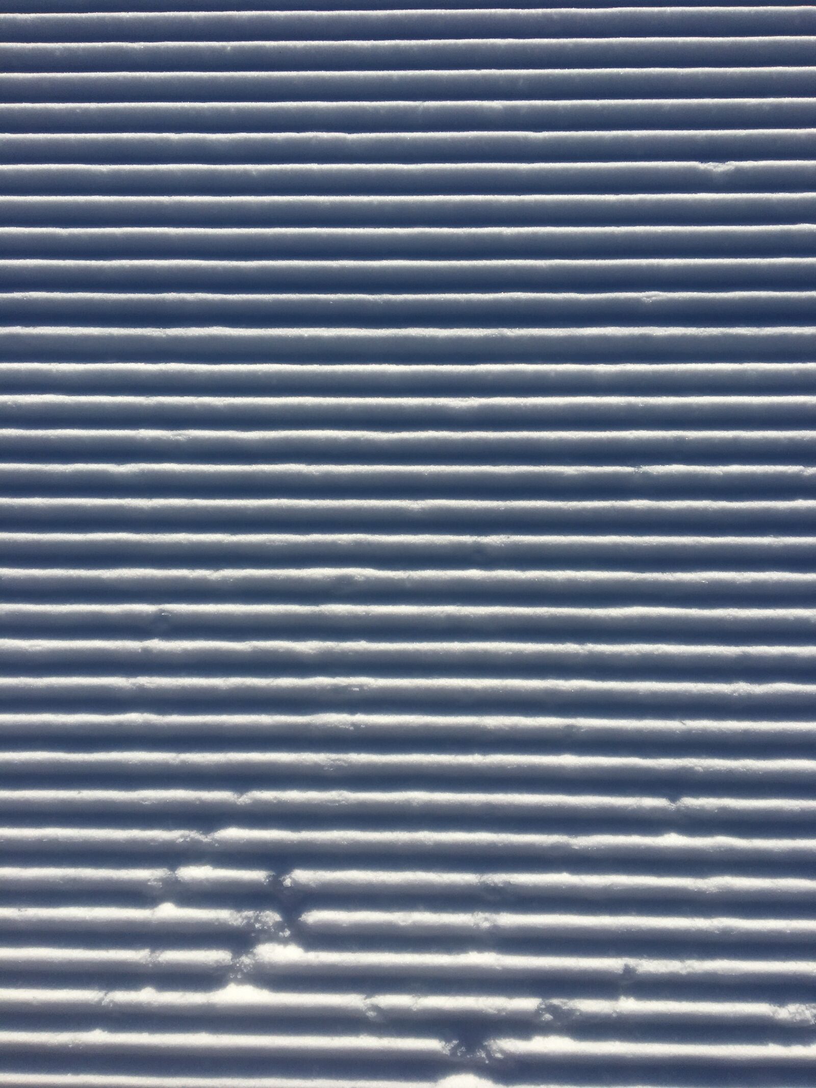 Apple iPhone 6s sample photo. Neige, snow, blanc photography