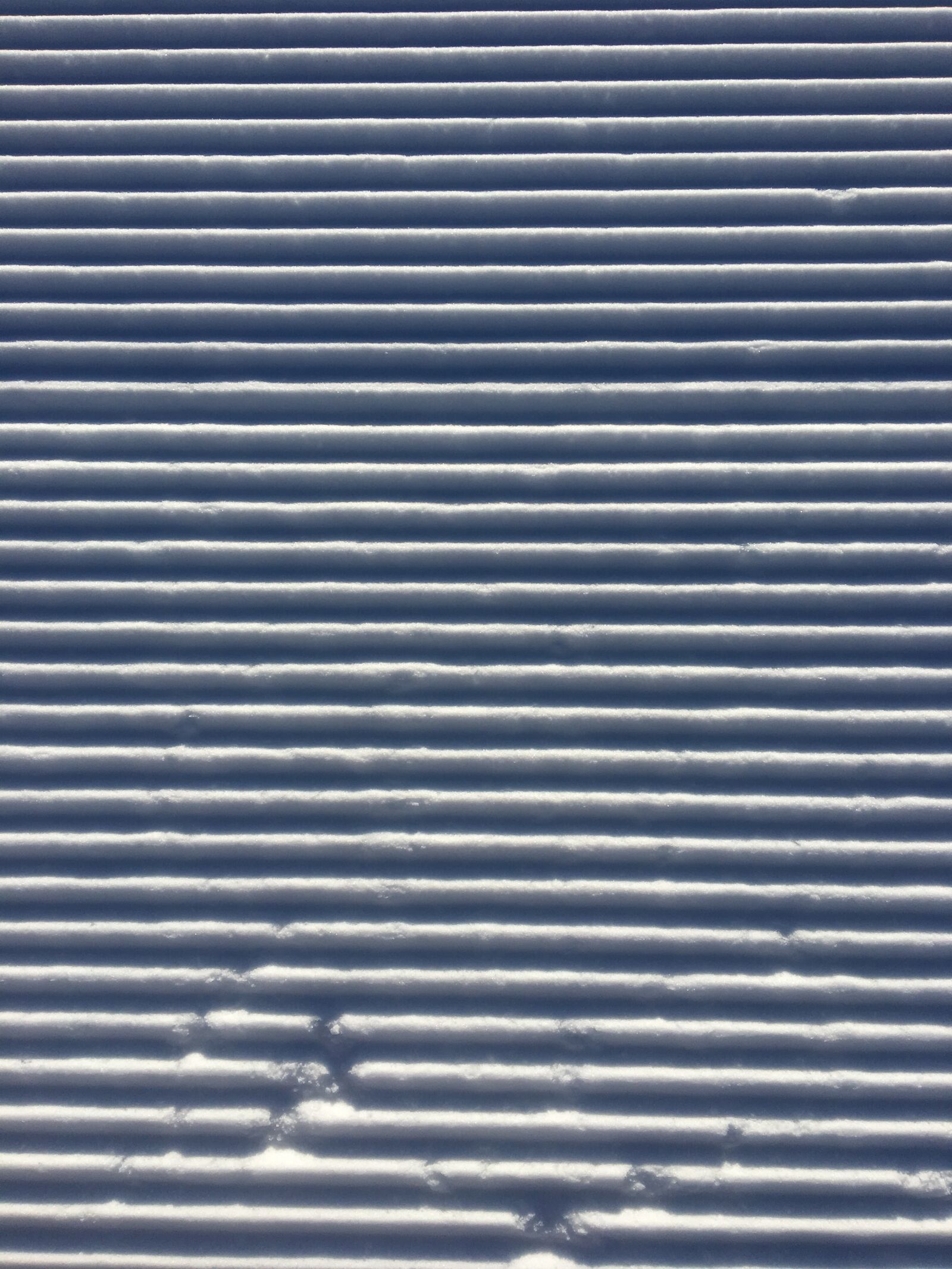 iPhone 6s back camera 4.15mm f/2.2 sample photo. Neige, snow, blanc photography
