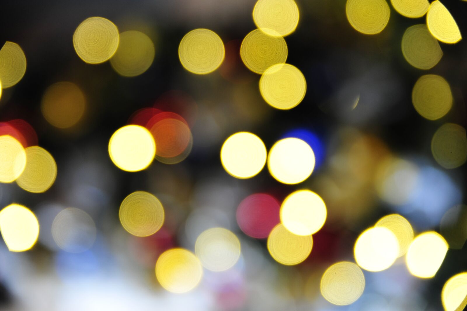 Nikon D700 sample photo. Christmas, round, color photography
