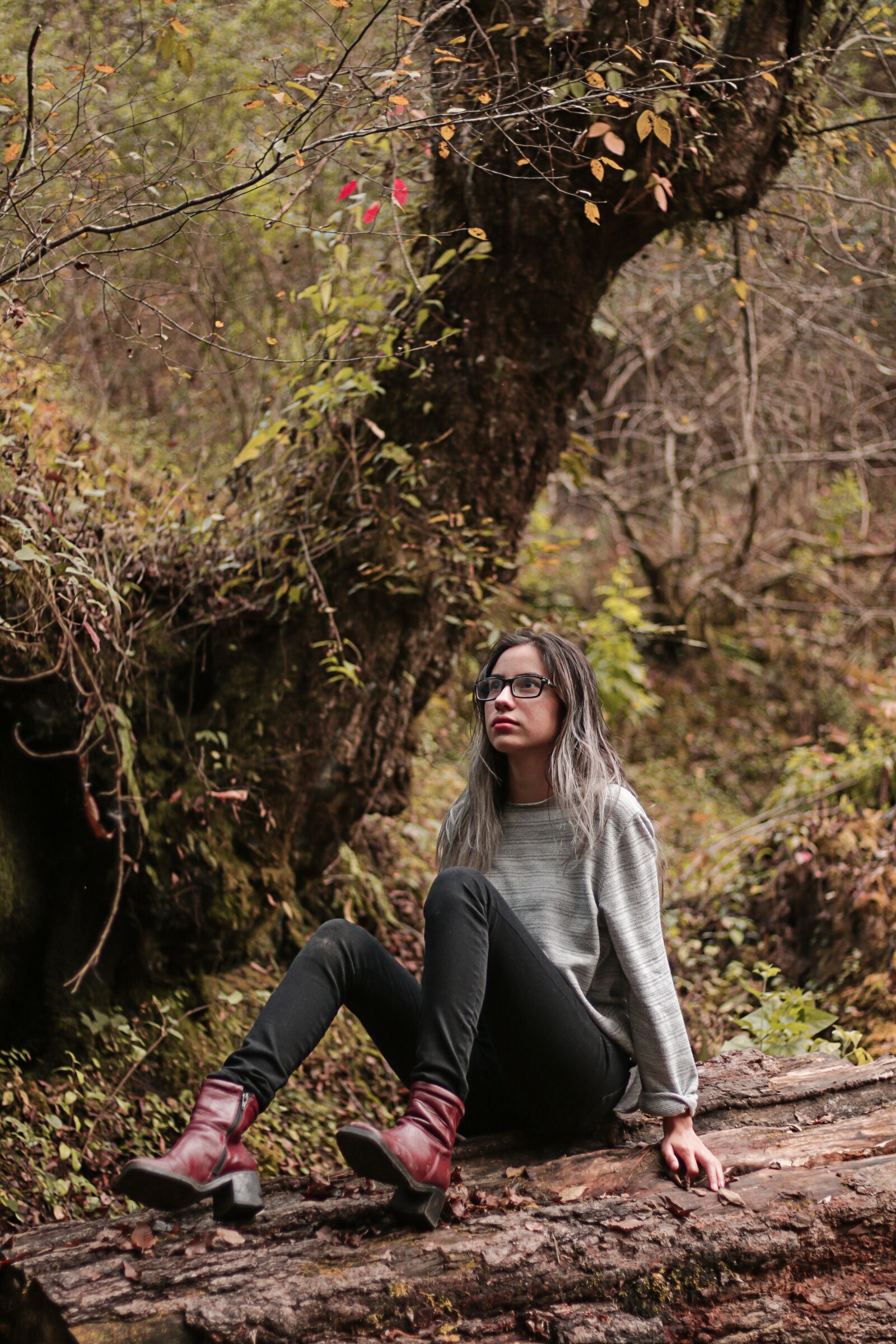 Canon EOS 70D + Canon EF 50mm F1.8 STM sample photo. Wood, tree, nature photography
