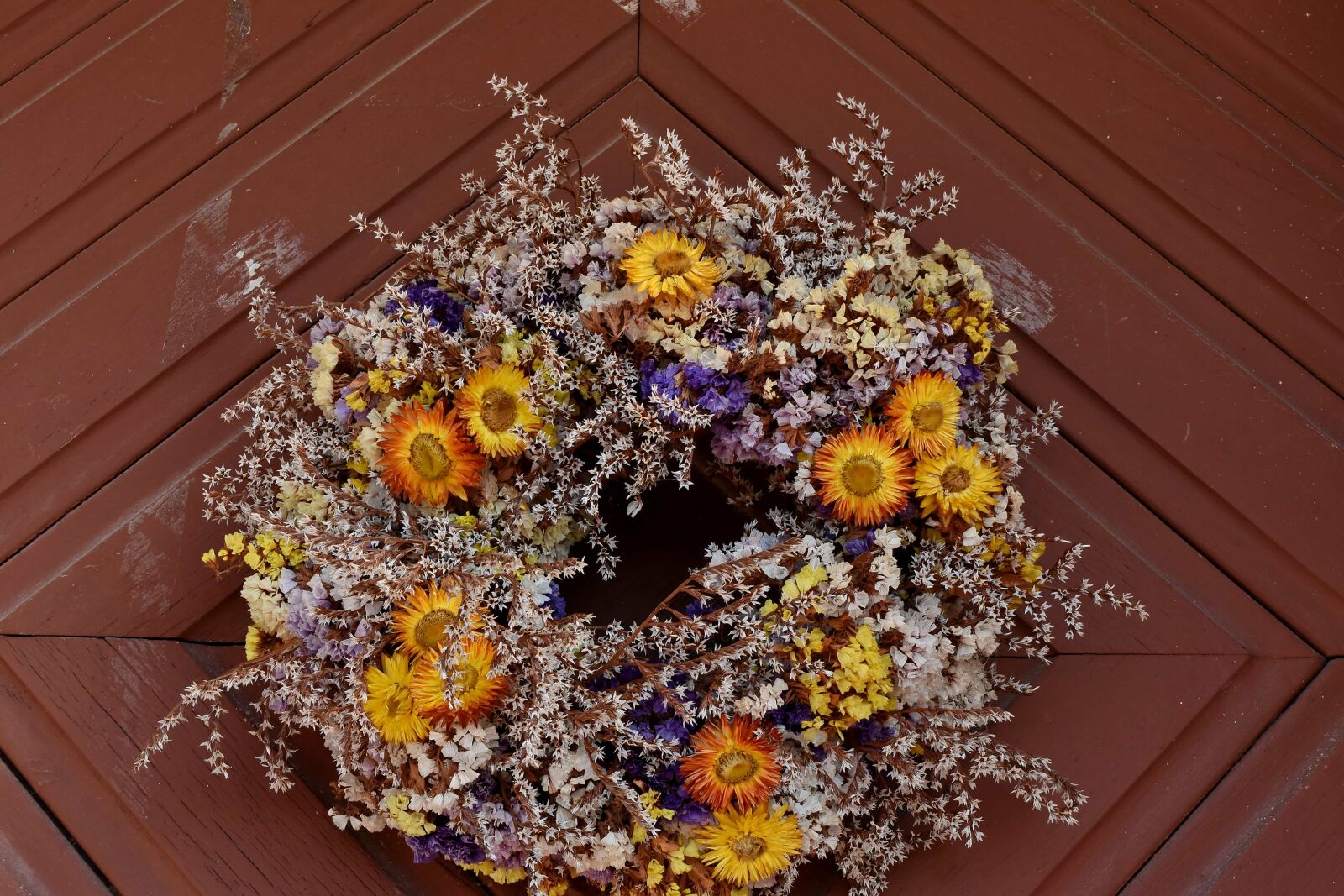 Nikon D5500 sample photo. Beautiful flowers, carpentry, dry photography
