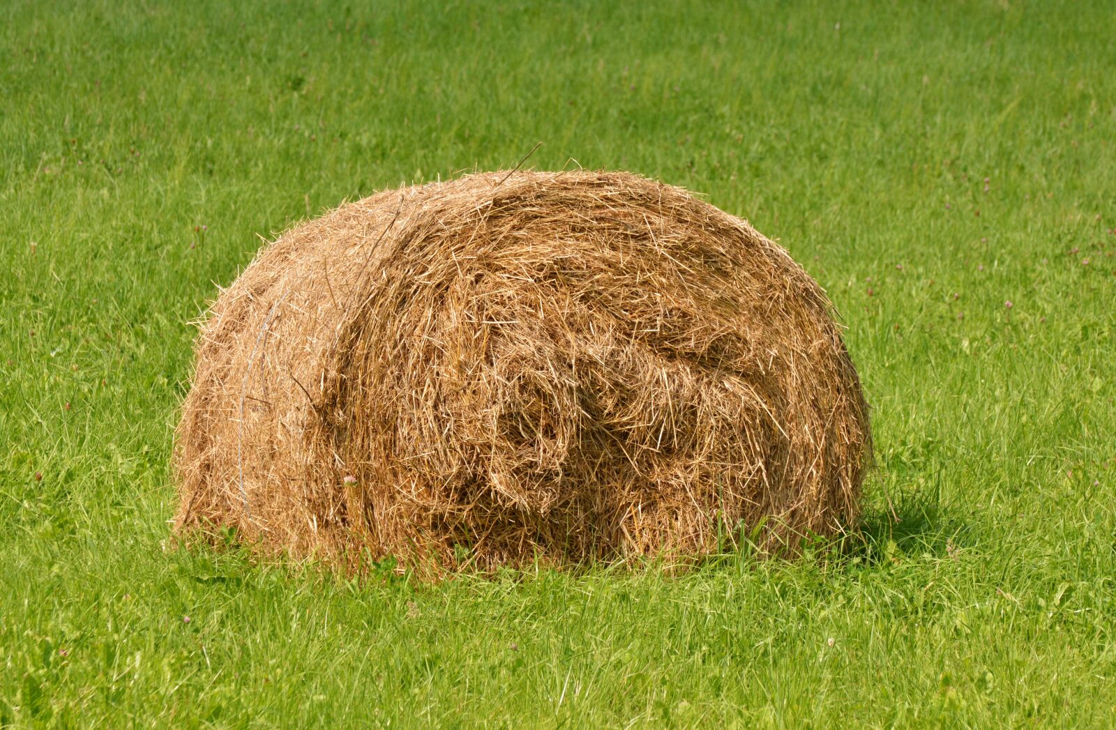Nikon D5200 sample photo. Hay bales, meadow, agriculture photography