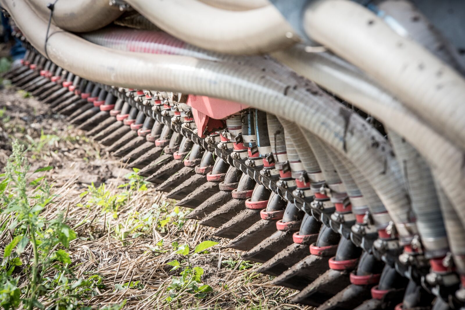 Nikon D750 sample photo. Nutrient management, g lle photography