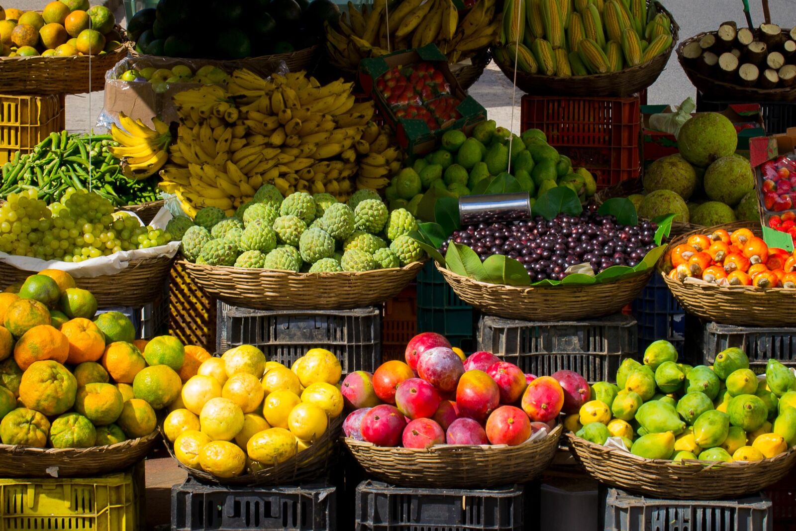 Nikon D3100 sample photo. Fruits, market photography