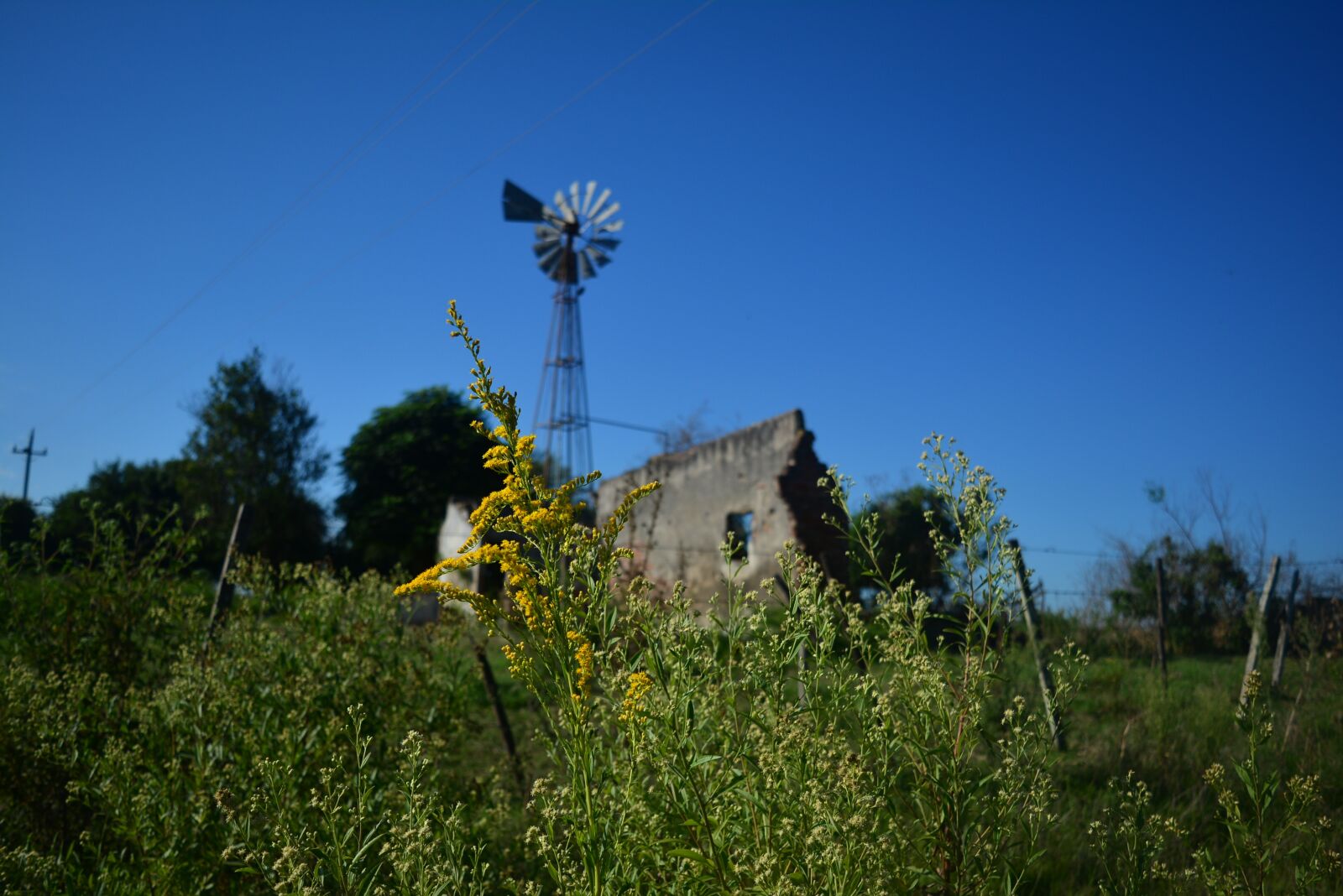 Nikon D7100 sample photo. Mill, field, uruguay photography