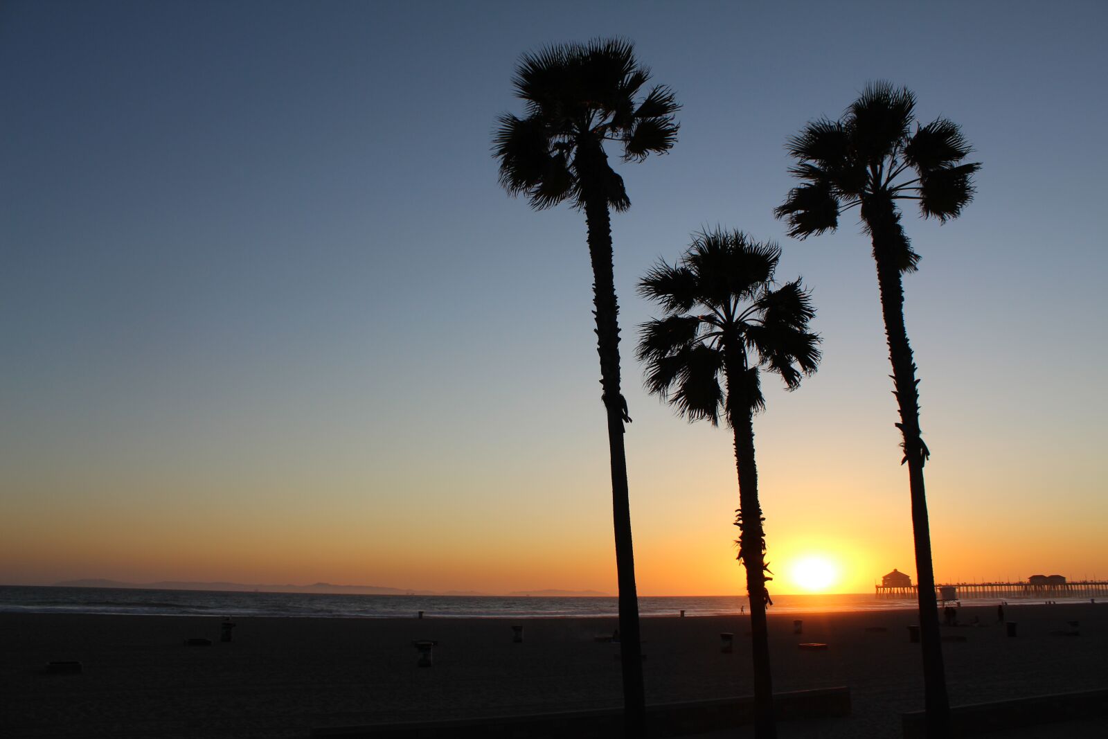 Canon EOS 1300D (EOS Rebel T6 / EOS Kiss X80) sample photo. Palm trees, sunset, beach photography