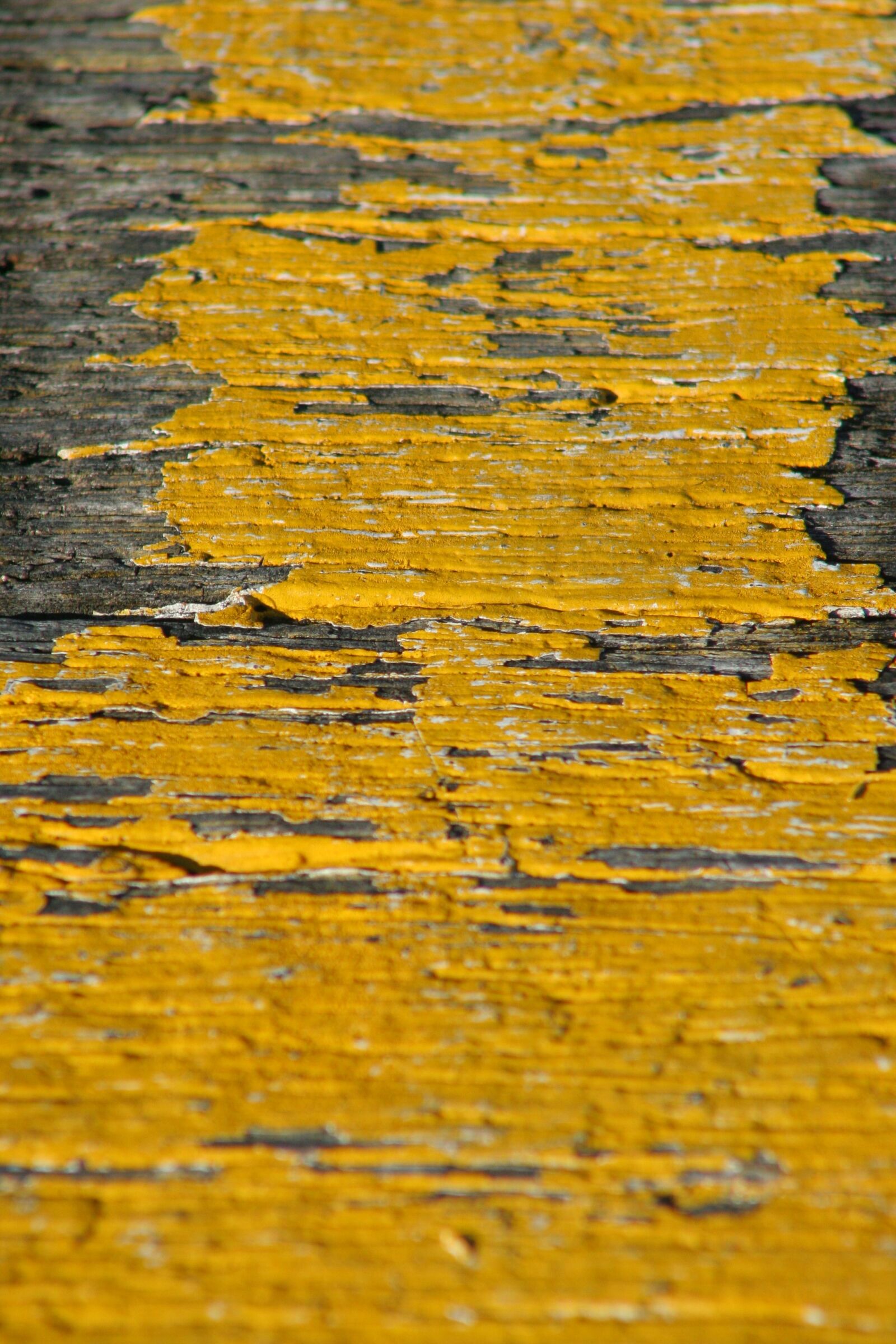 Canon EOS 350D (EOS Digital Rebel XT / EOS Kiss Digital N) sample photo. Yellow, paint, rustic photography