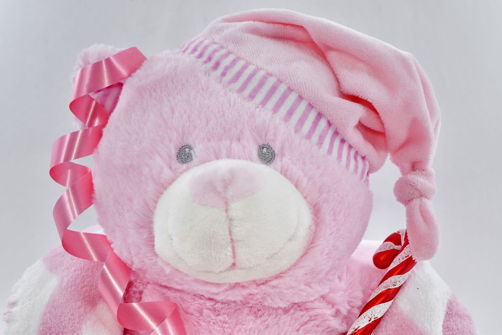 Nikon D5500 sample photo. Anniversary, celebration, party, plush photography