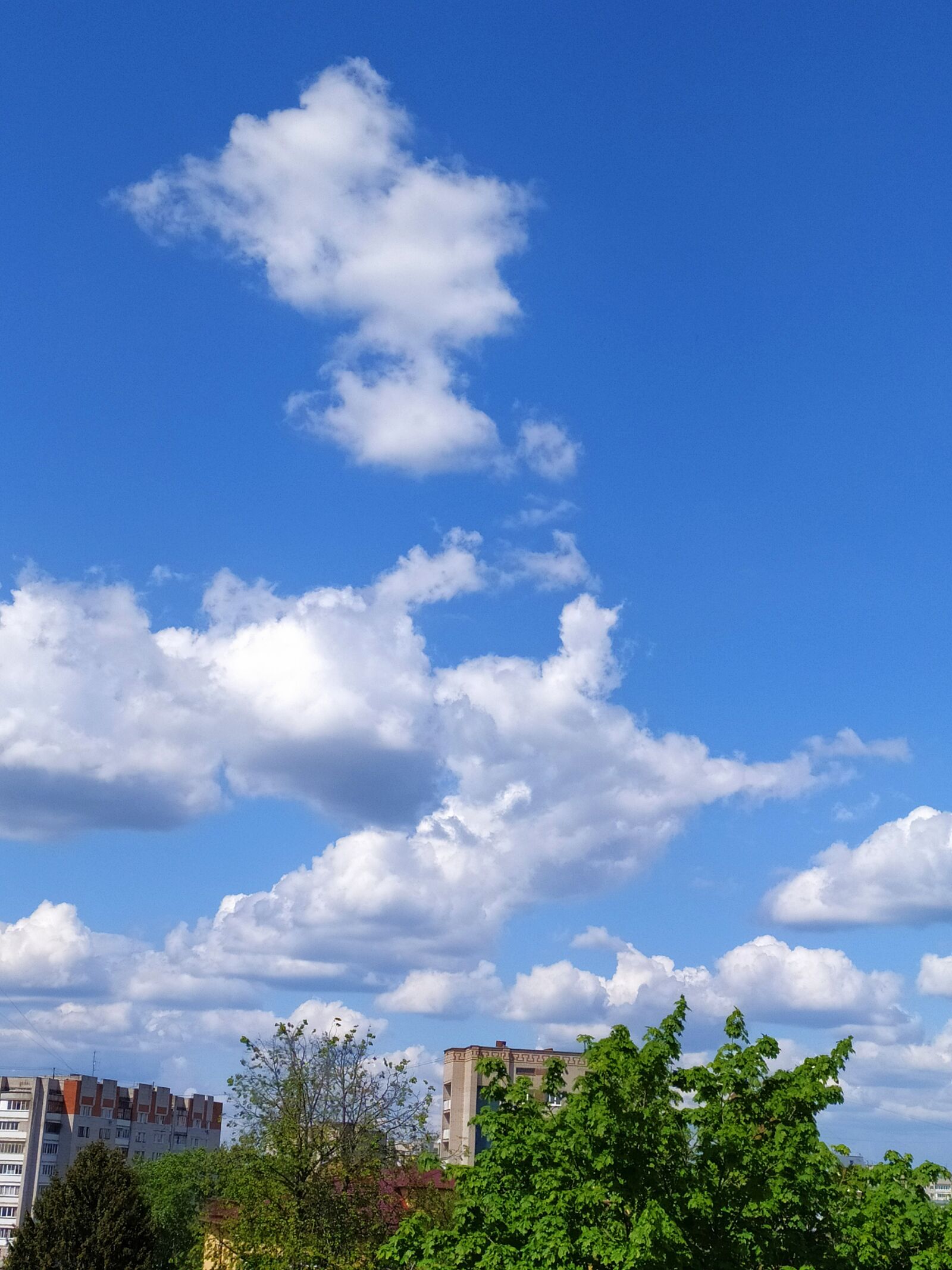 Xiaomi Redmi Note 8T sample photo. Sky, clouds, bust photography