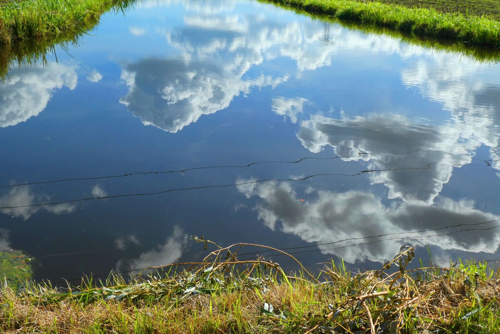 Panasonic Lumix DC-ZS70 (Lumix DC-TZ90) sample photo. Reflection, ditch, clouds photography