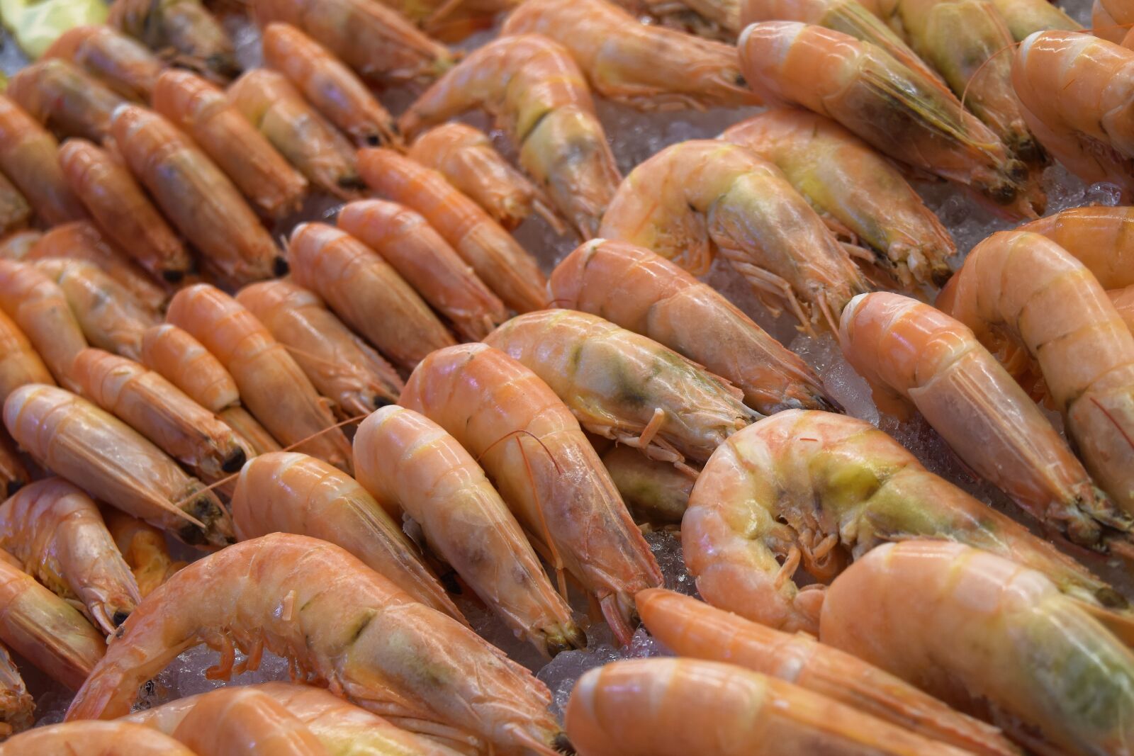 Nikon D3300 sample photo. Food, market, desktop photography