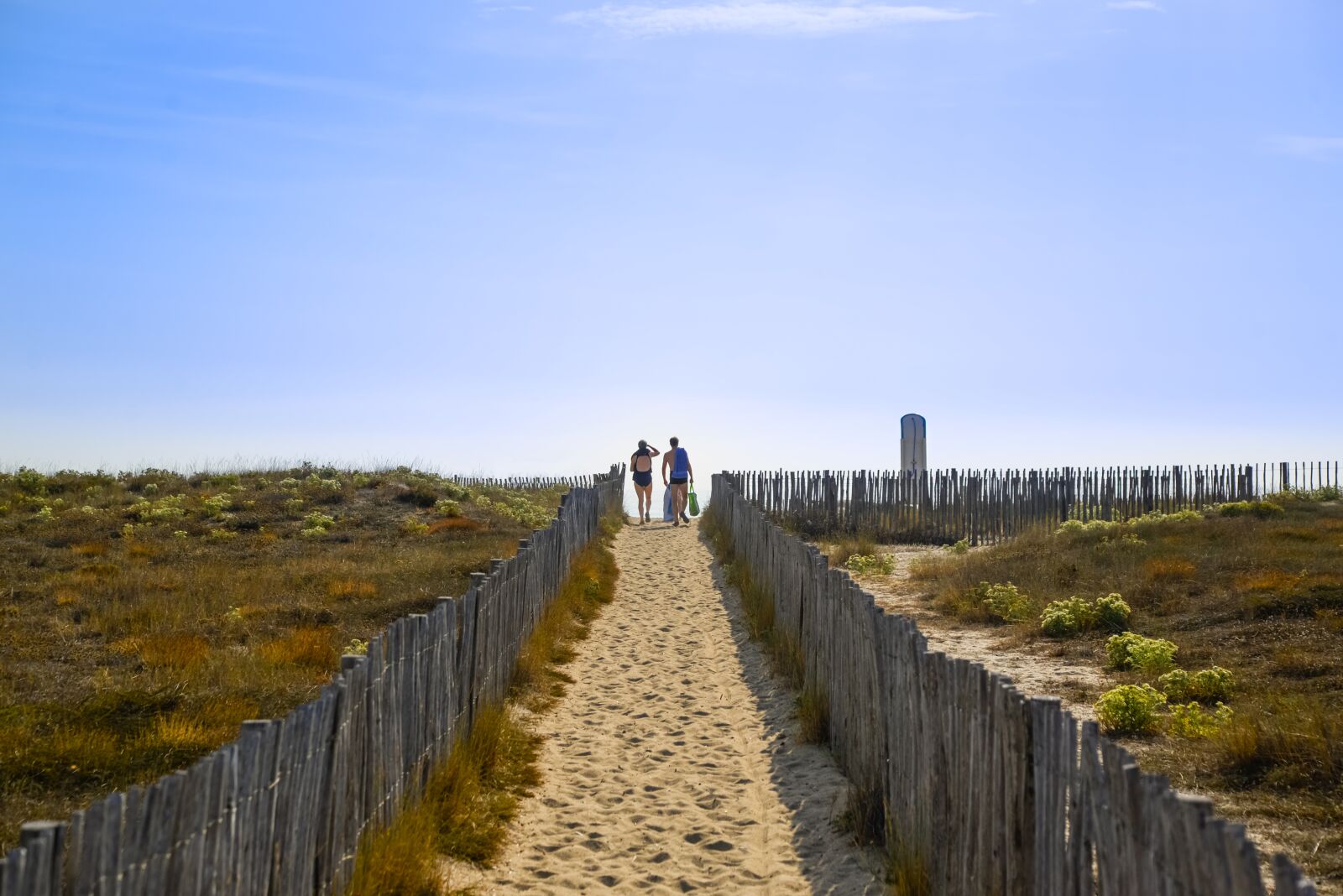Nikon D610 sample photo. People, walking, beach photography