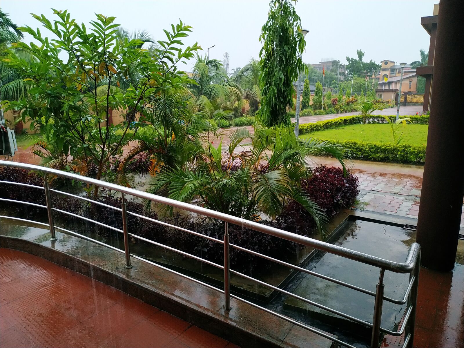 Xiaomi Redmi Note 6 Pro sample photo. After rain, tree, morning photography