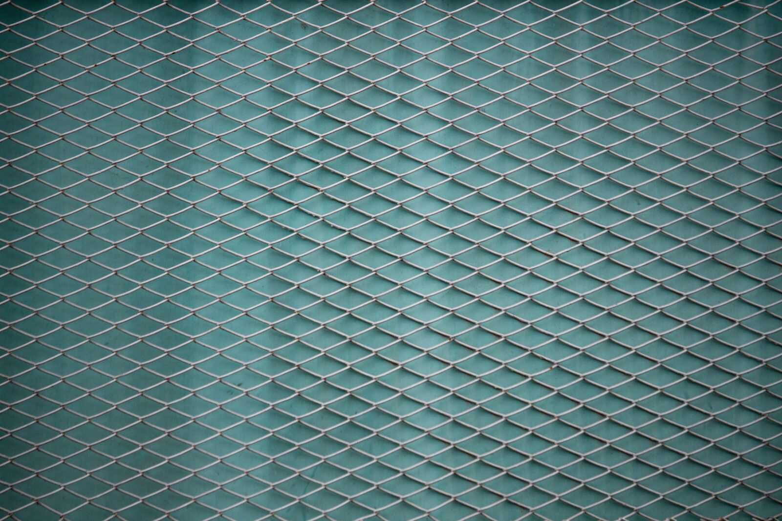 Canon EOS 100D (EOS Rebel SL1 / EOS Kiss X7) sample photo. Fence, fence grid, grid photography