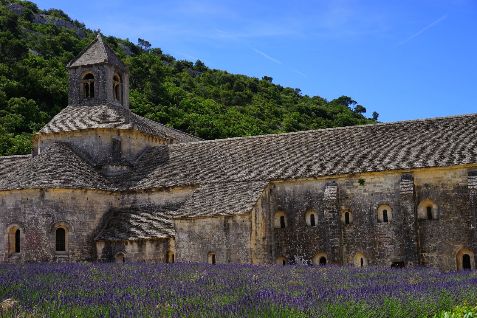 Sony a7 + Sony Sonnar T* FE 55mm F1.8 ZA sample photo. Abbaye de s nanque photography