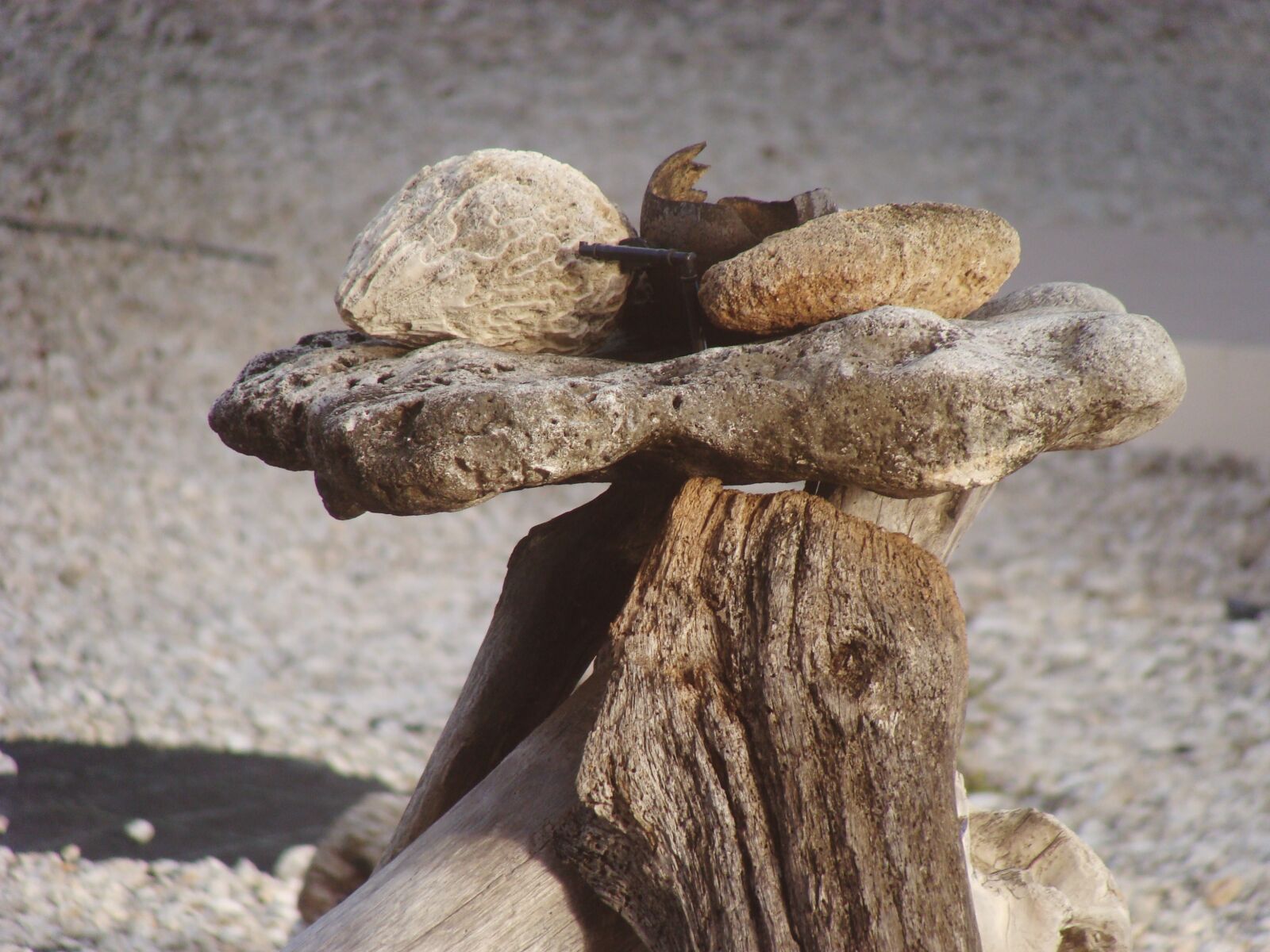 Sony DSC-H3 sample photo. Still life, bonaire, wood photography