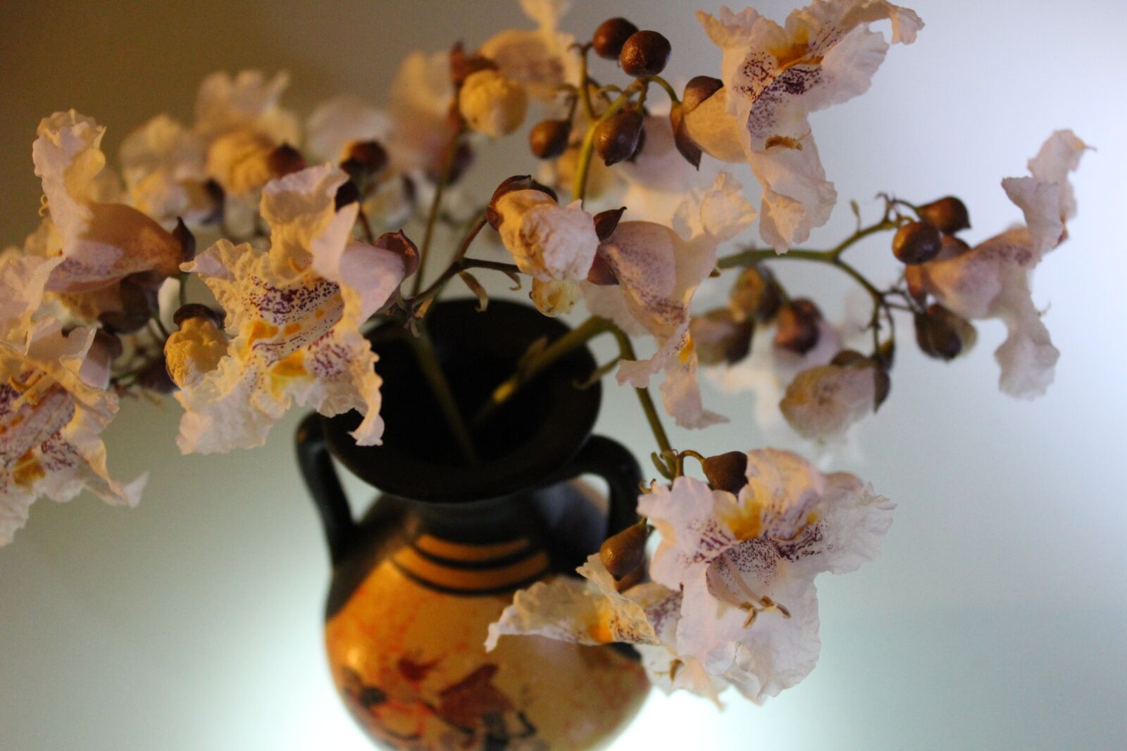 Canon EOS 600D (Rebel EOS T3i / EOS Kiss X5) sample photo. Flowers, pitcher, still life photography
