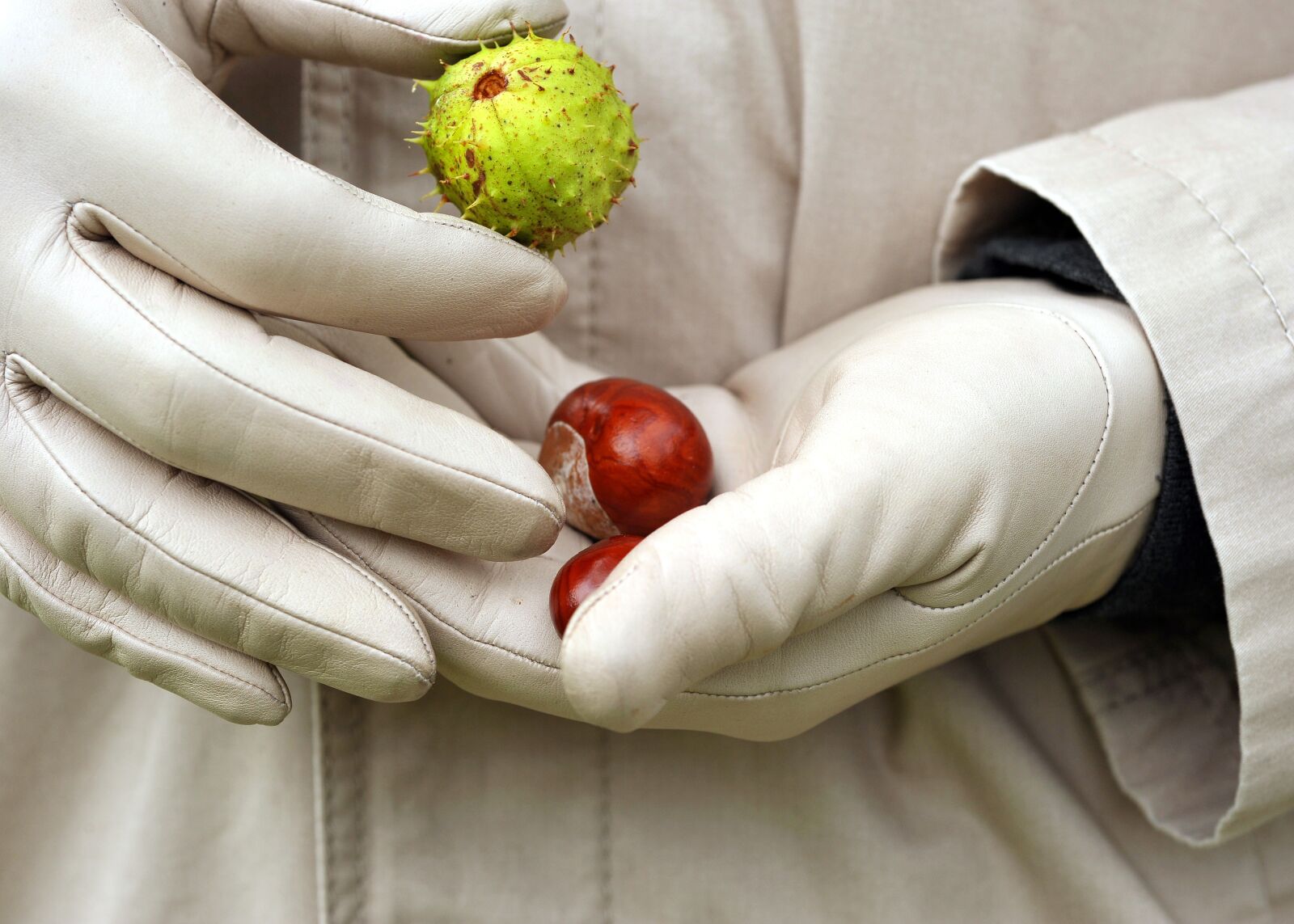 Nikon D3S sample photo. Gloves, leather gloves, hands photography