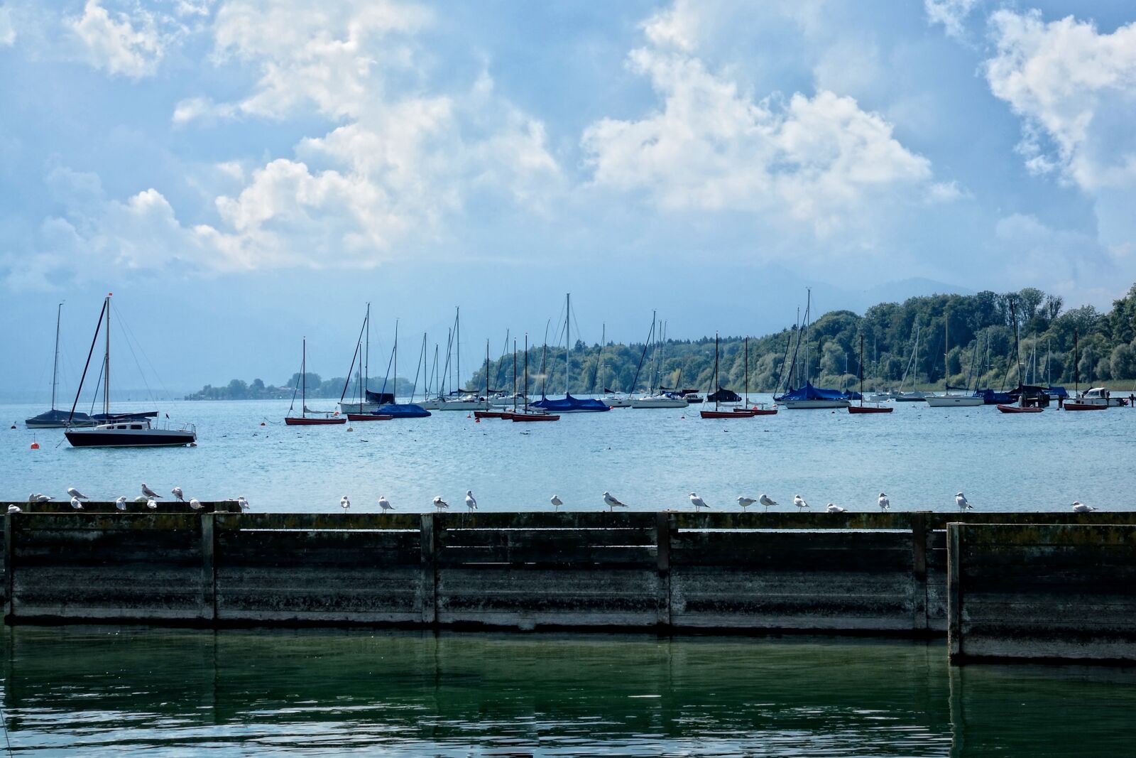 Nikon D7100 sample photo. Sailing boats, port, boats photography