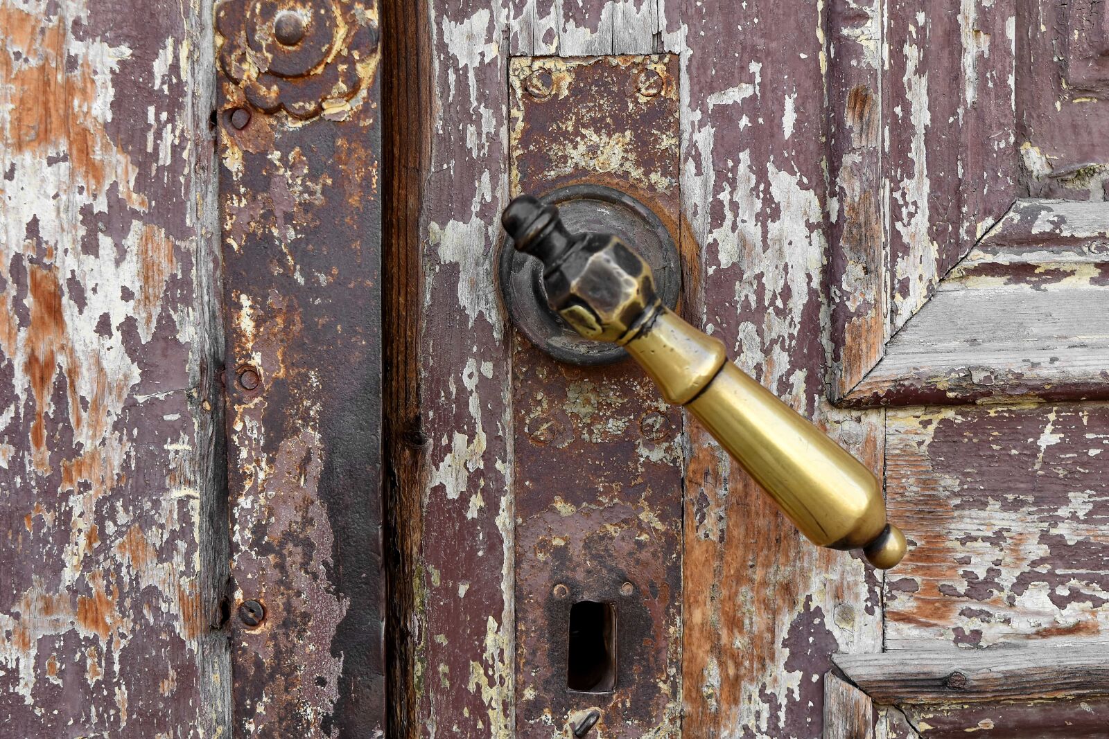 Nikon D5500 sample photo. Brass, front door, handmade photography