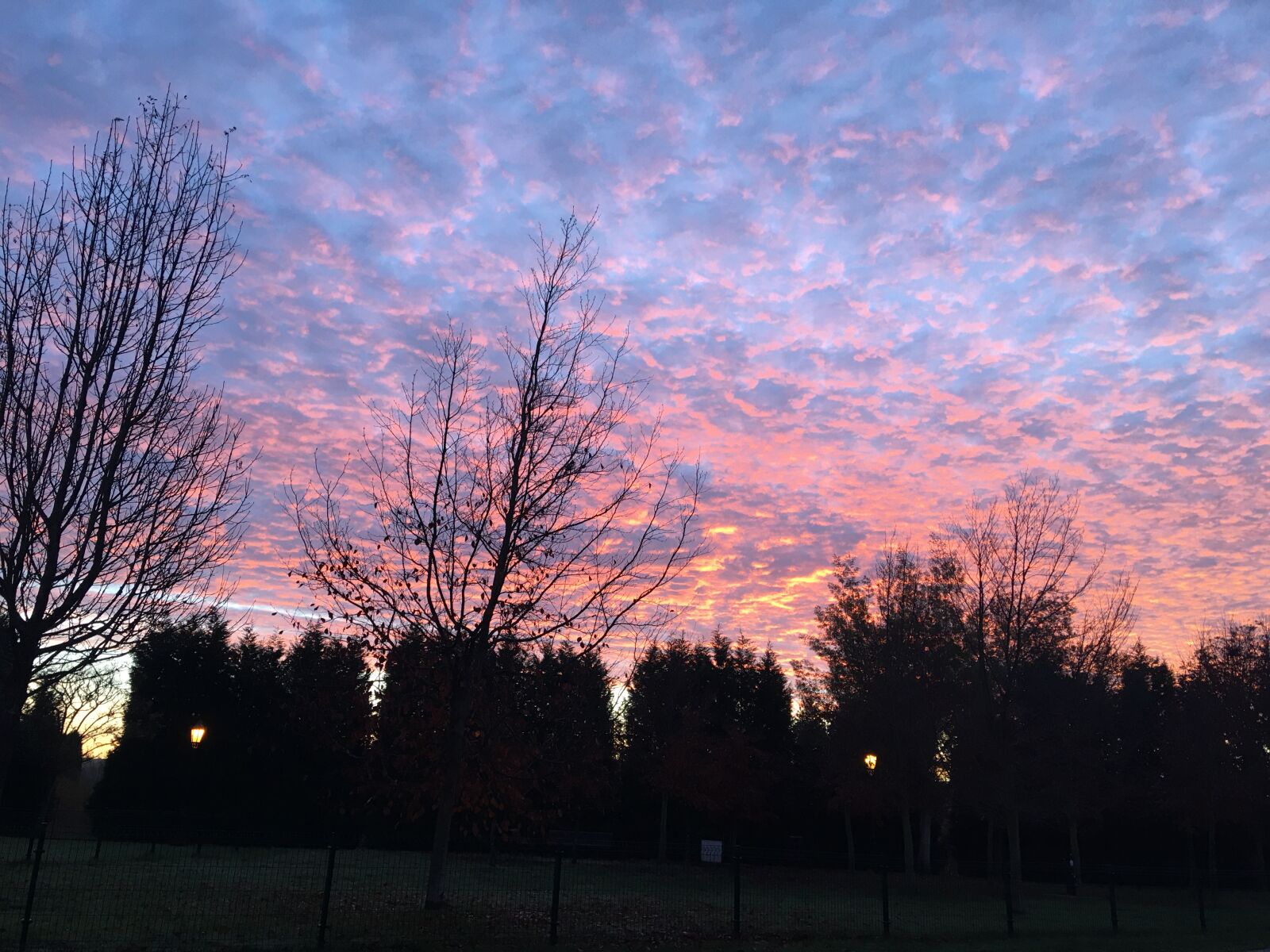 iPhone 6s Plus back camera 4.15mm f/2.2 sample photo. Blue sky, sky pink photography