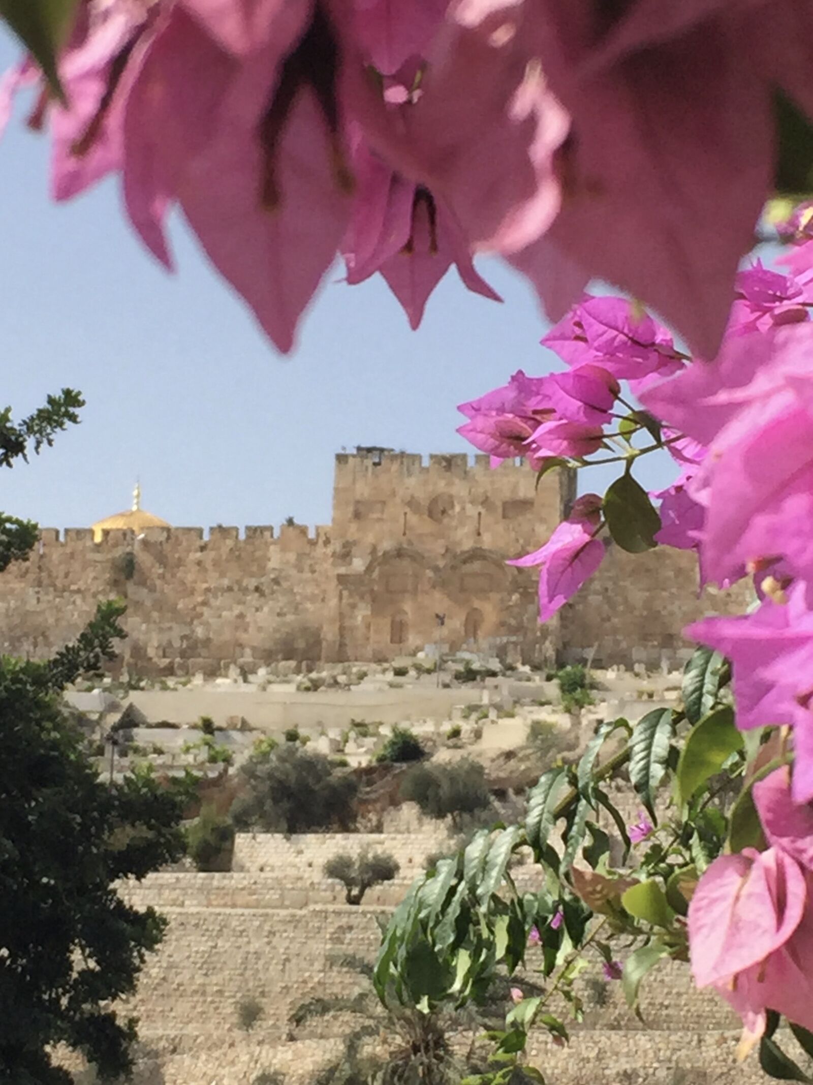 iPhone 6 back camera 4.15mm f/2.2 sample photo. Golden gate, jerusalem, israel photography