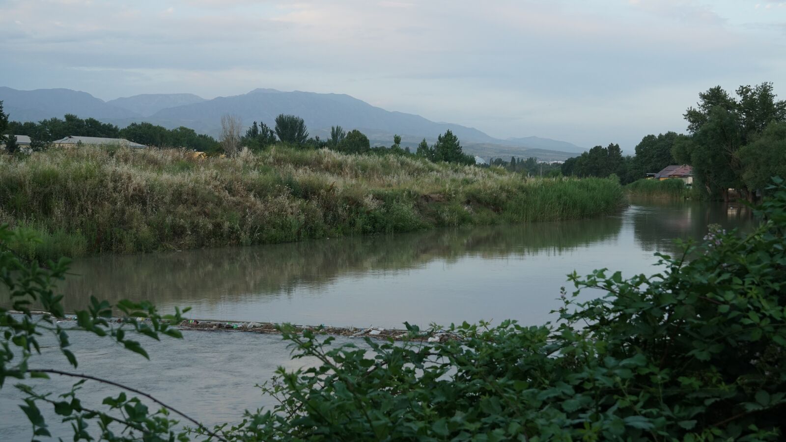 Sony a6500 sample photo. Channel, small river, herbs photography