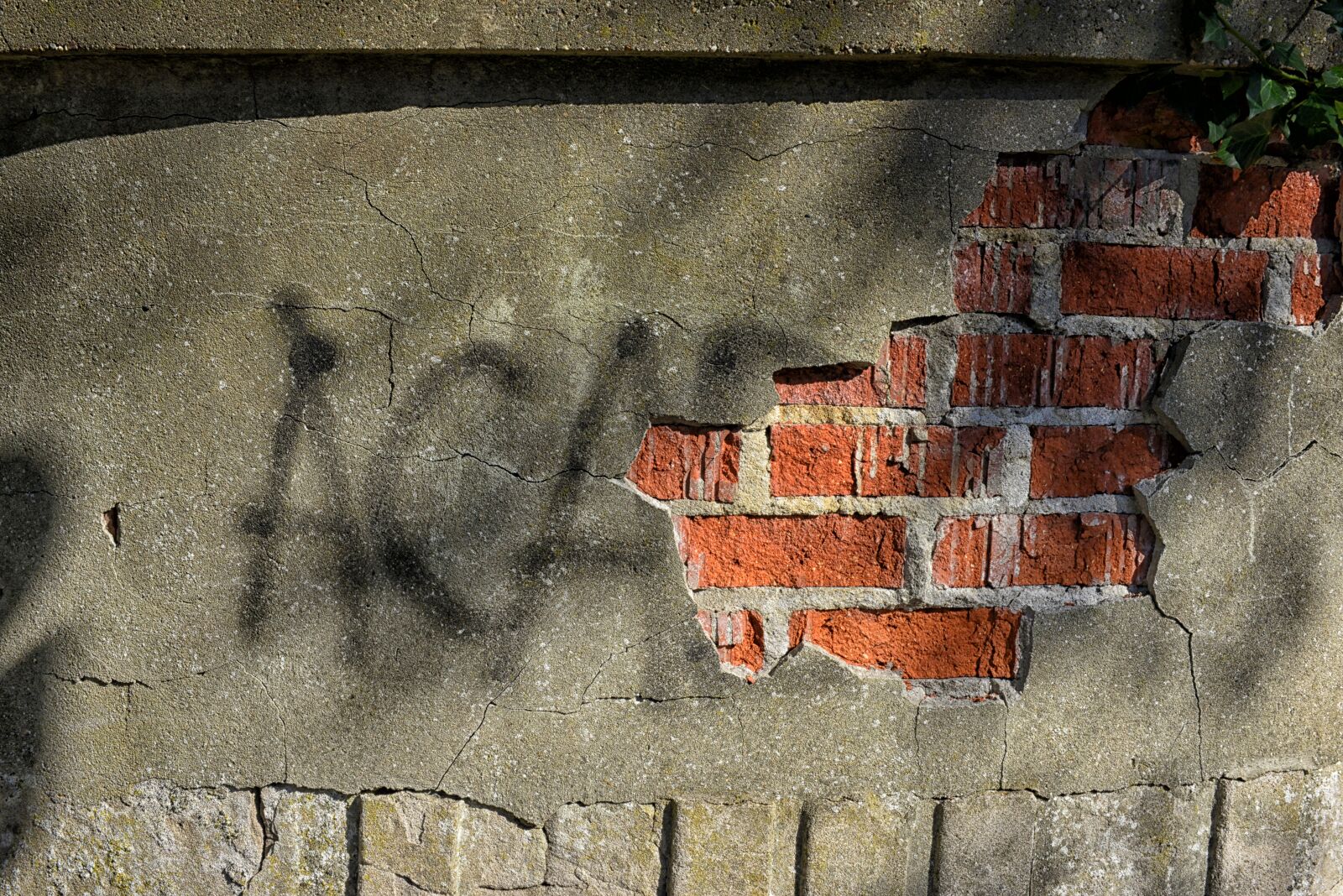 Nikon D800 sample photo. Graffiti, street art, wall photography