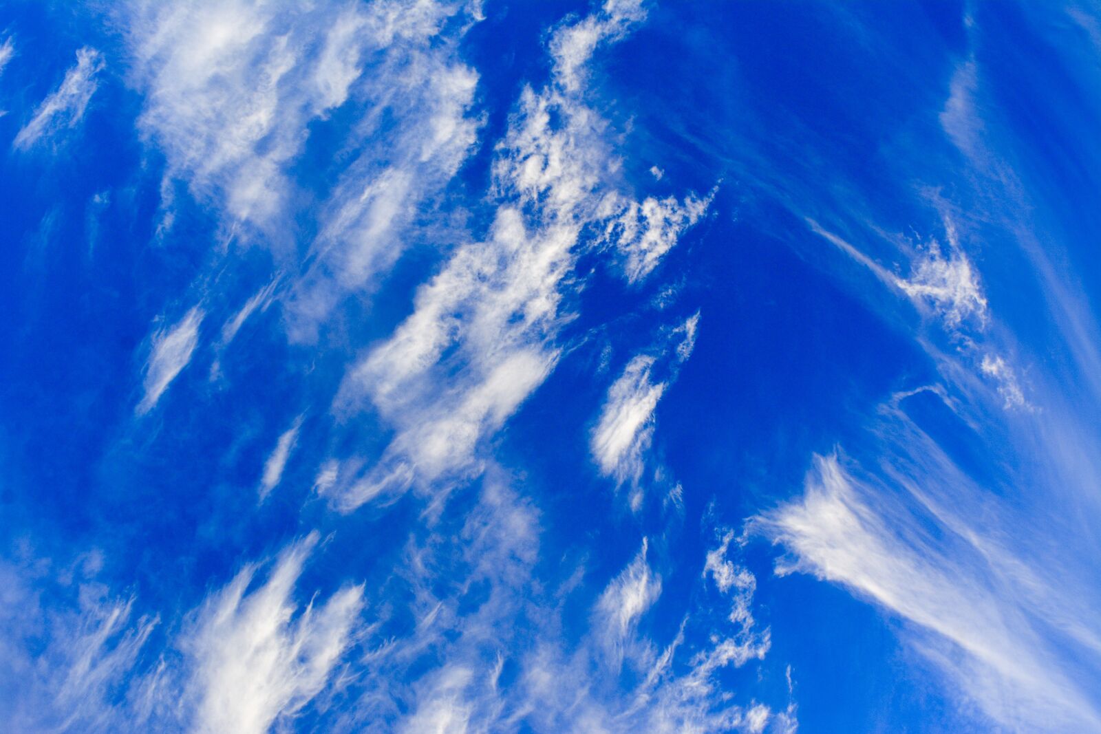 Nikon D5200 sample photo. Nature, outdoors, sky photography