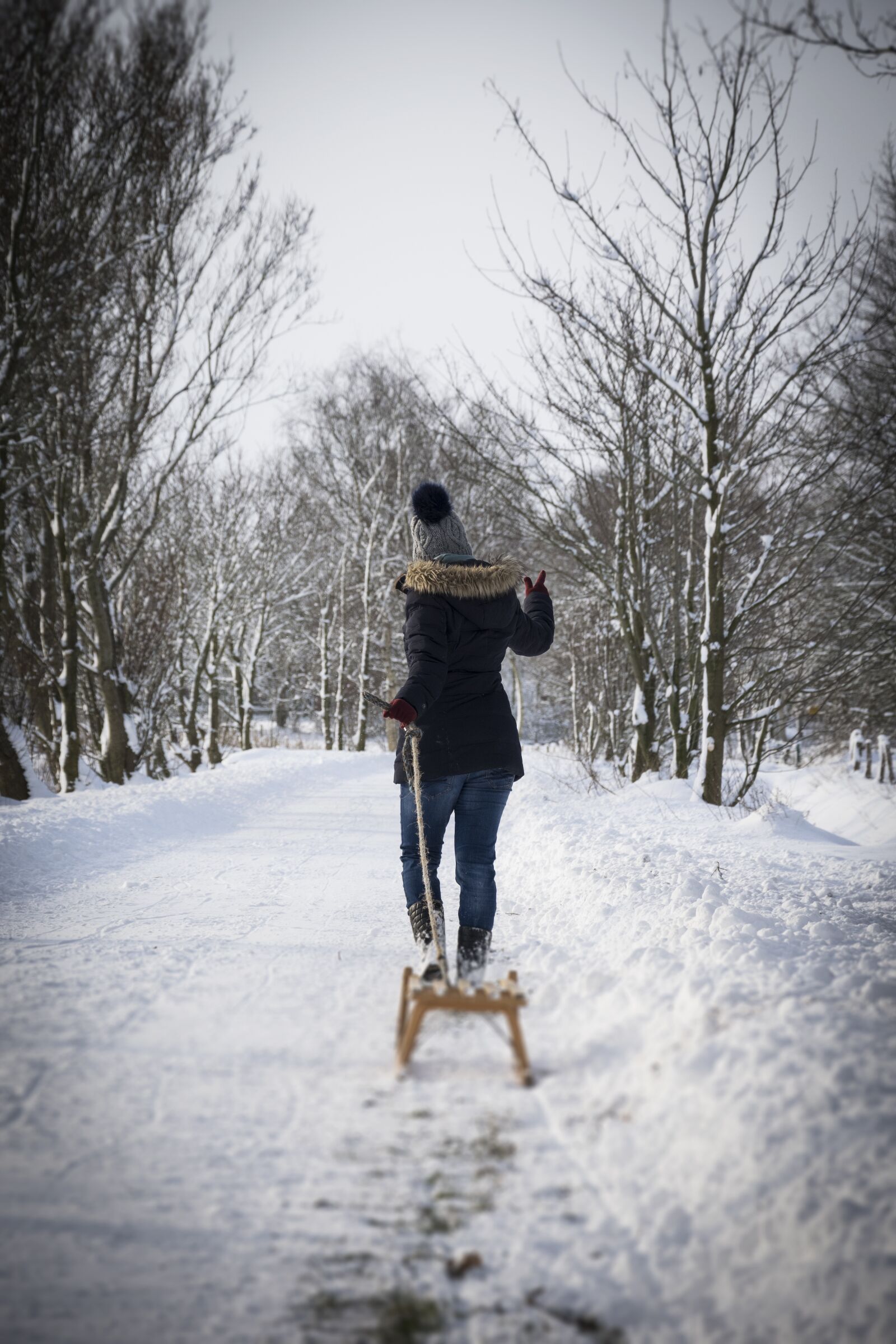 Nikon D3300 sample photo. Snow, sled, winter photography