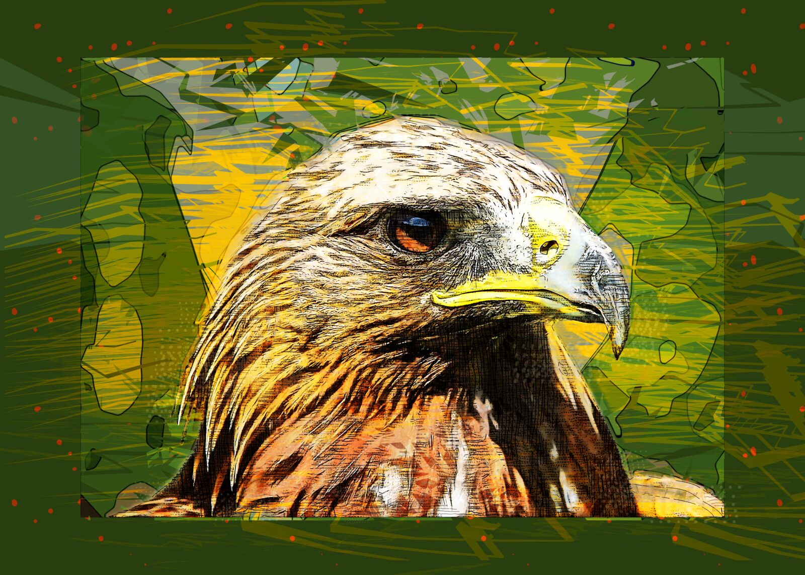 Canon EOS 500D (EOS Rebel T1i / EOS Kiss X3) sample photo. Adler, raptor, bird of photography