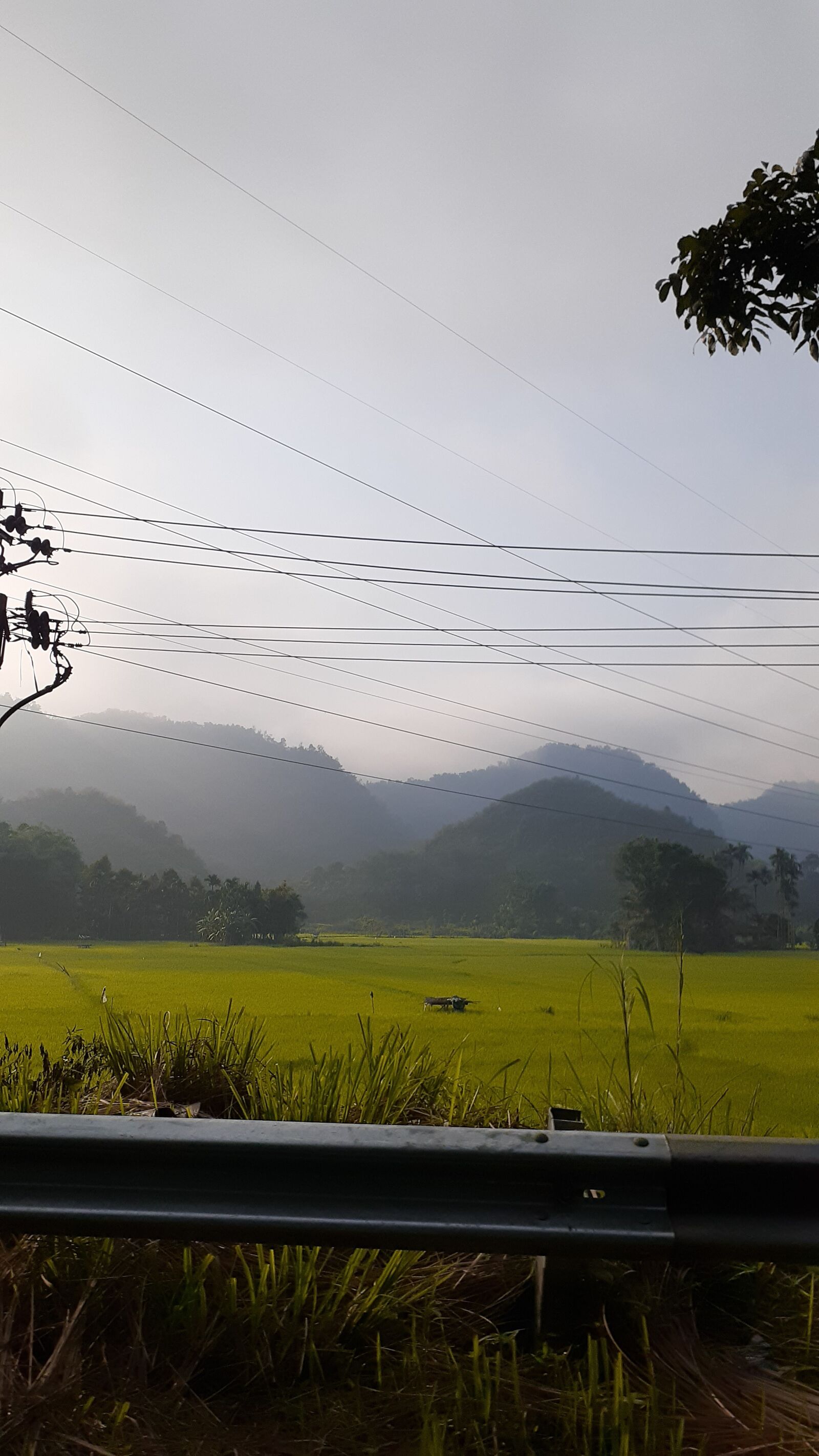 Samsung Galaxy A20 sample photo