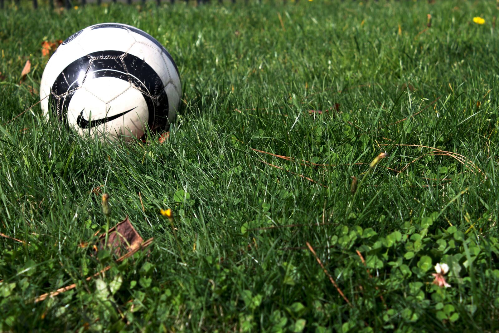 Canon EOS 1100D (EOS Rebel T3 / EOS Kiss X50) sample photo. Soccer, football, ball photography