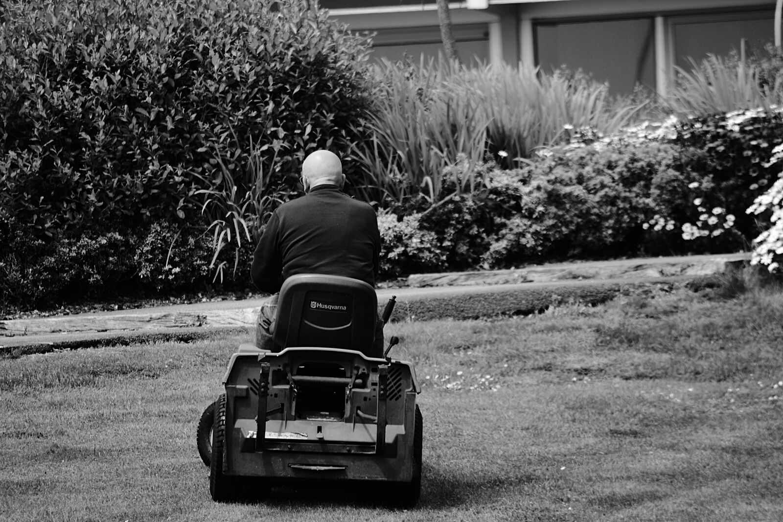 Nikon D5200 sample photo. Gazon, herbe, jardin, noir photography