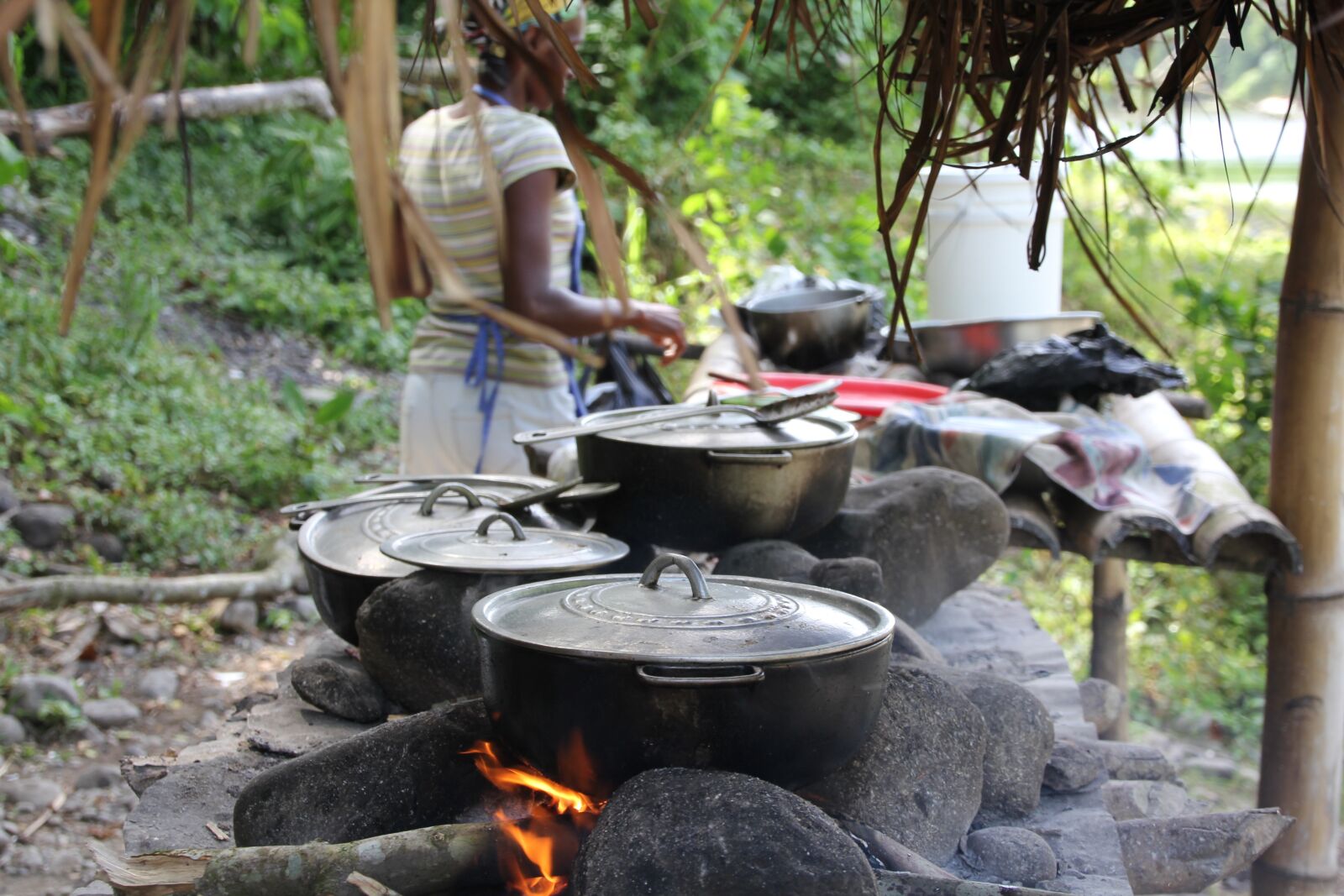 Canon EOS 60D sample photo. Jamaica, cook, river photography