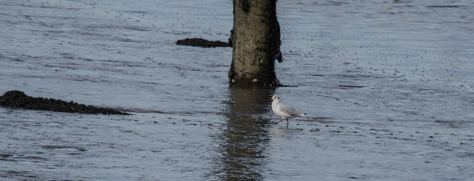 Nikon D5100 sample photo. Water, sea, ocean photography
