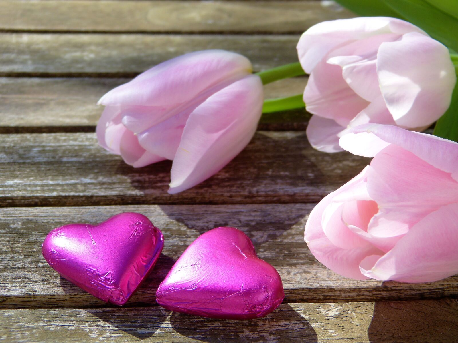 Panasonic Lumix DMC-FZ150 sample photo. Heart, pink, chocolate photography